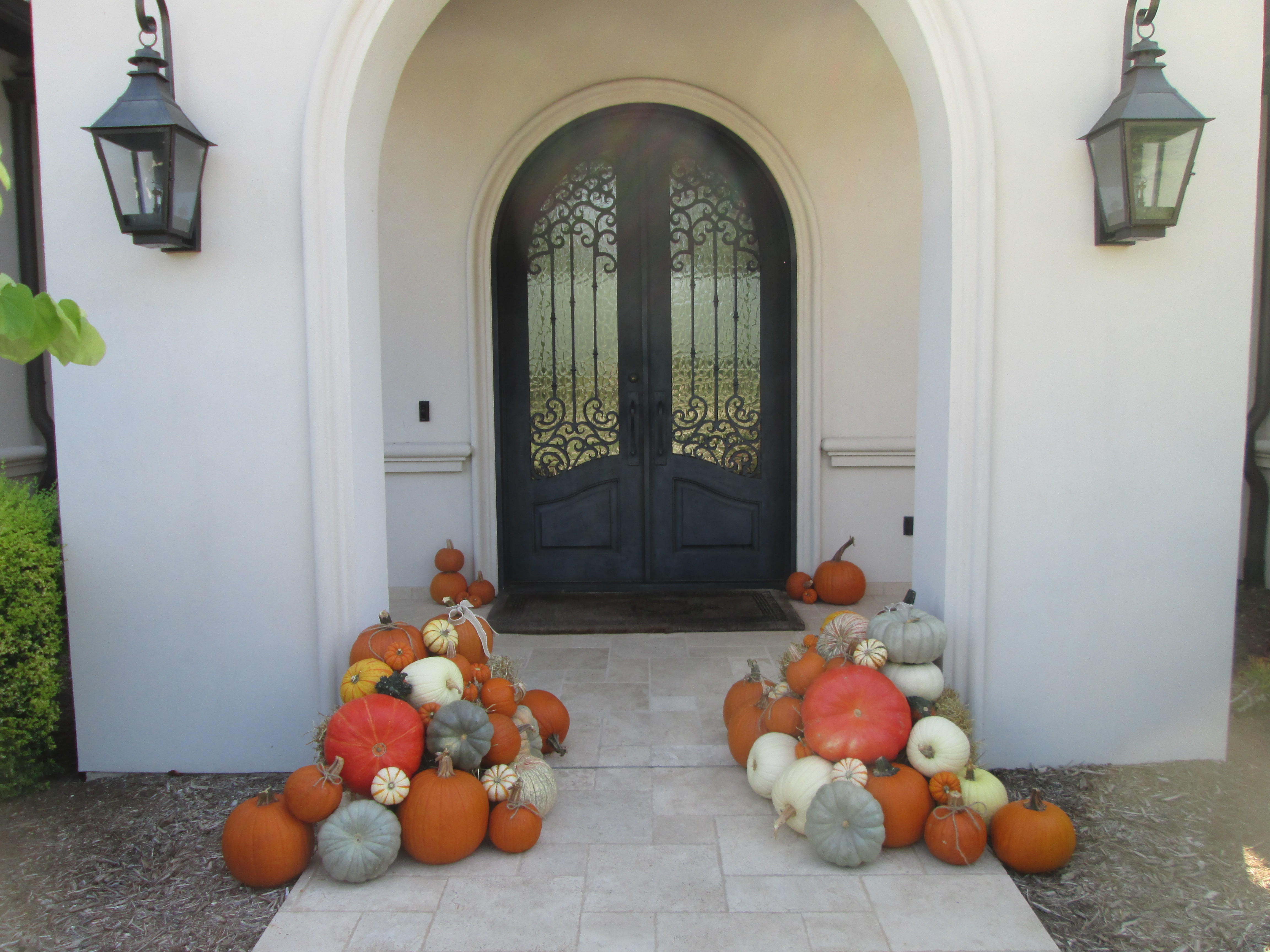Plan C Pumpkin Delivery and Porch Design