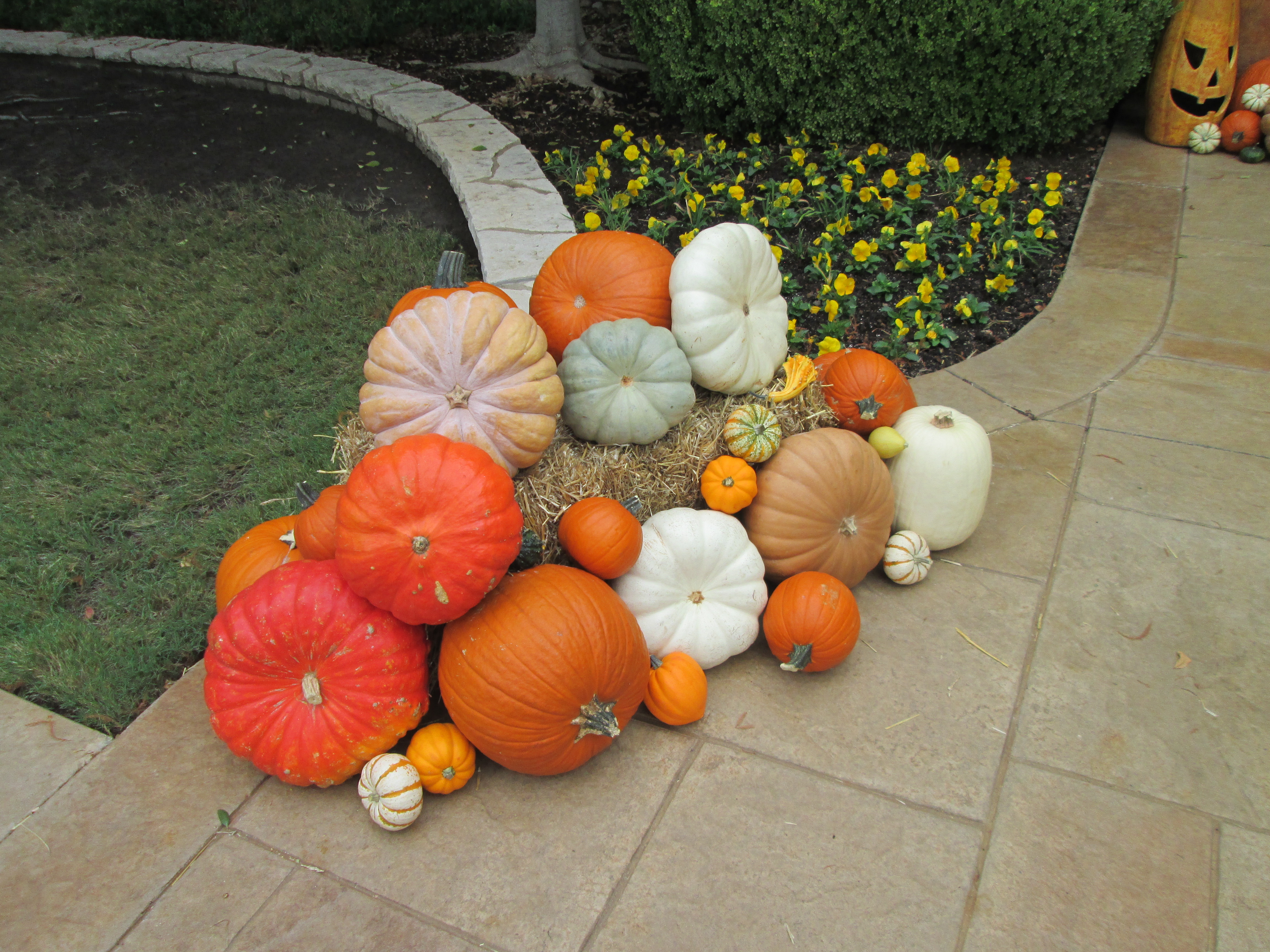 Plan B Pumpkin Delivery and Porch Design