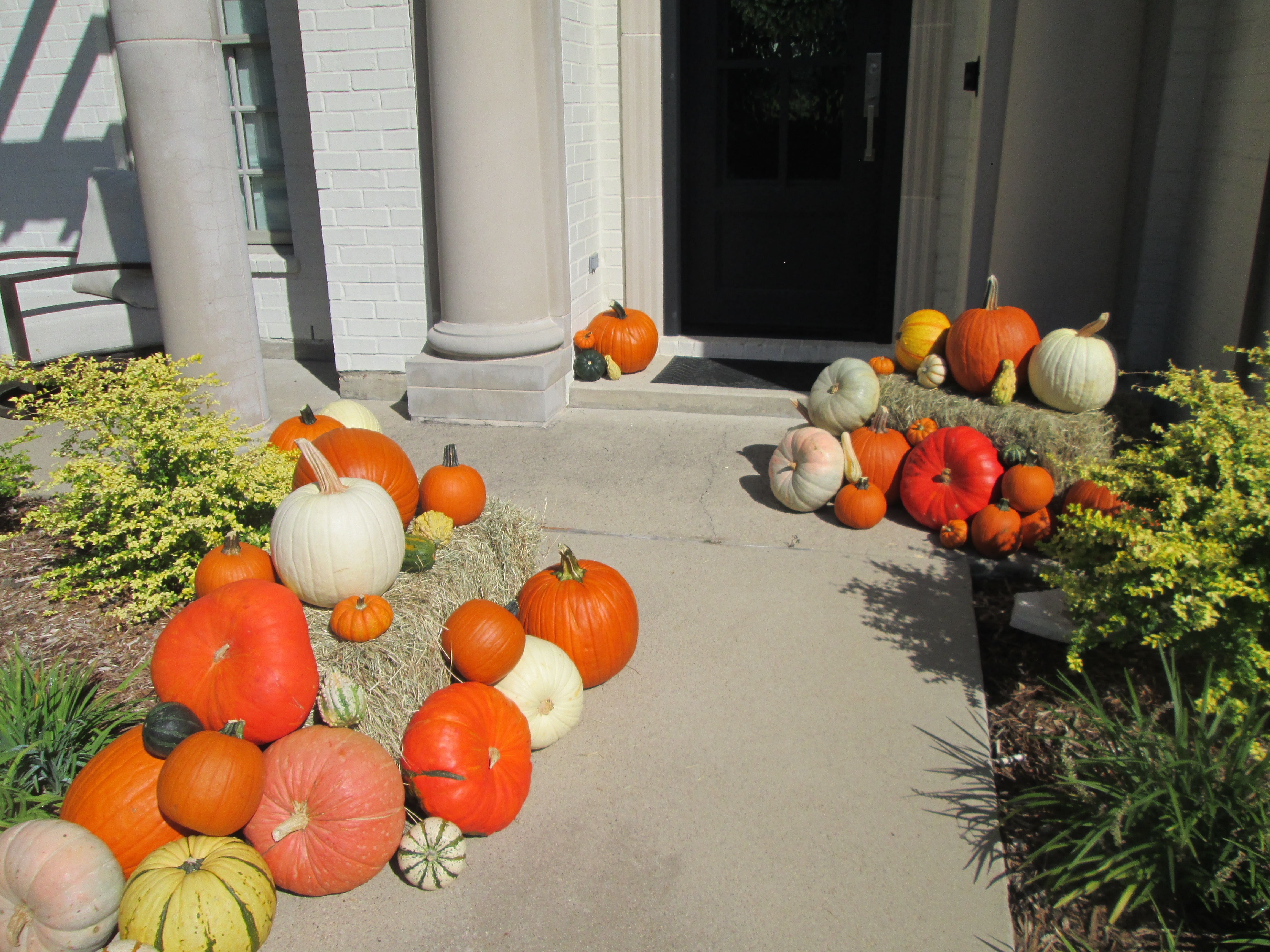 Plan C Pumpkin Delivery and Porch Design