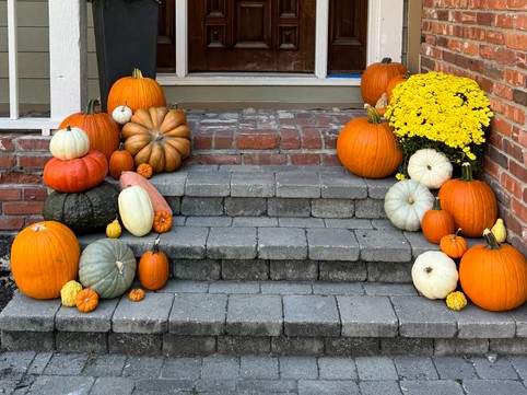 Plan D Pumpkin Delivery and Porch Design
