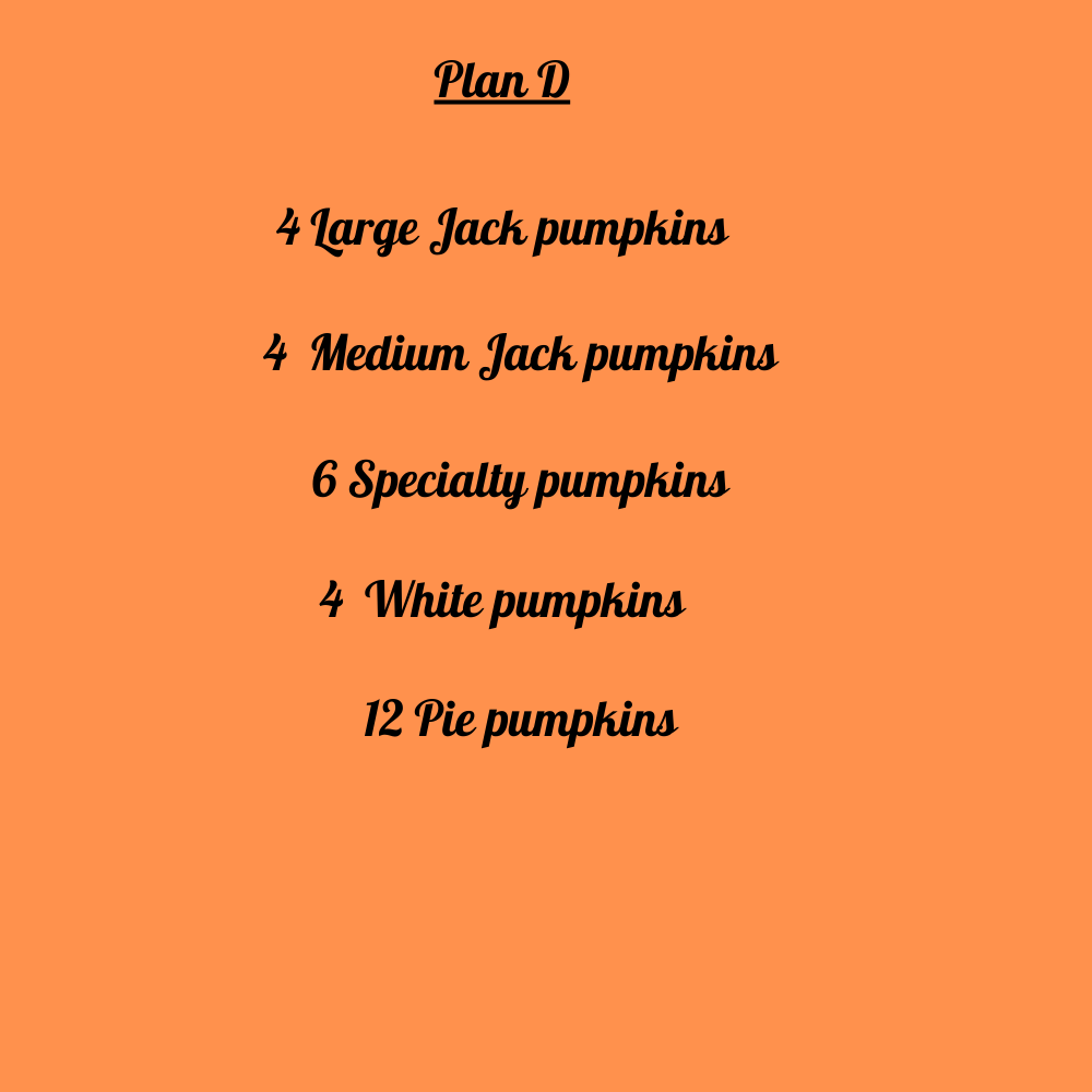 Plan D Pumpkin Delivery and Porch Design
