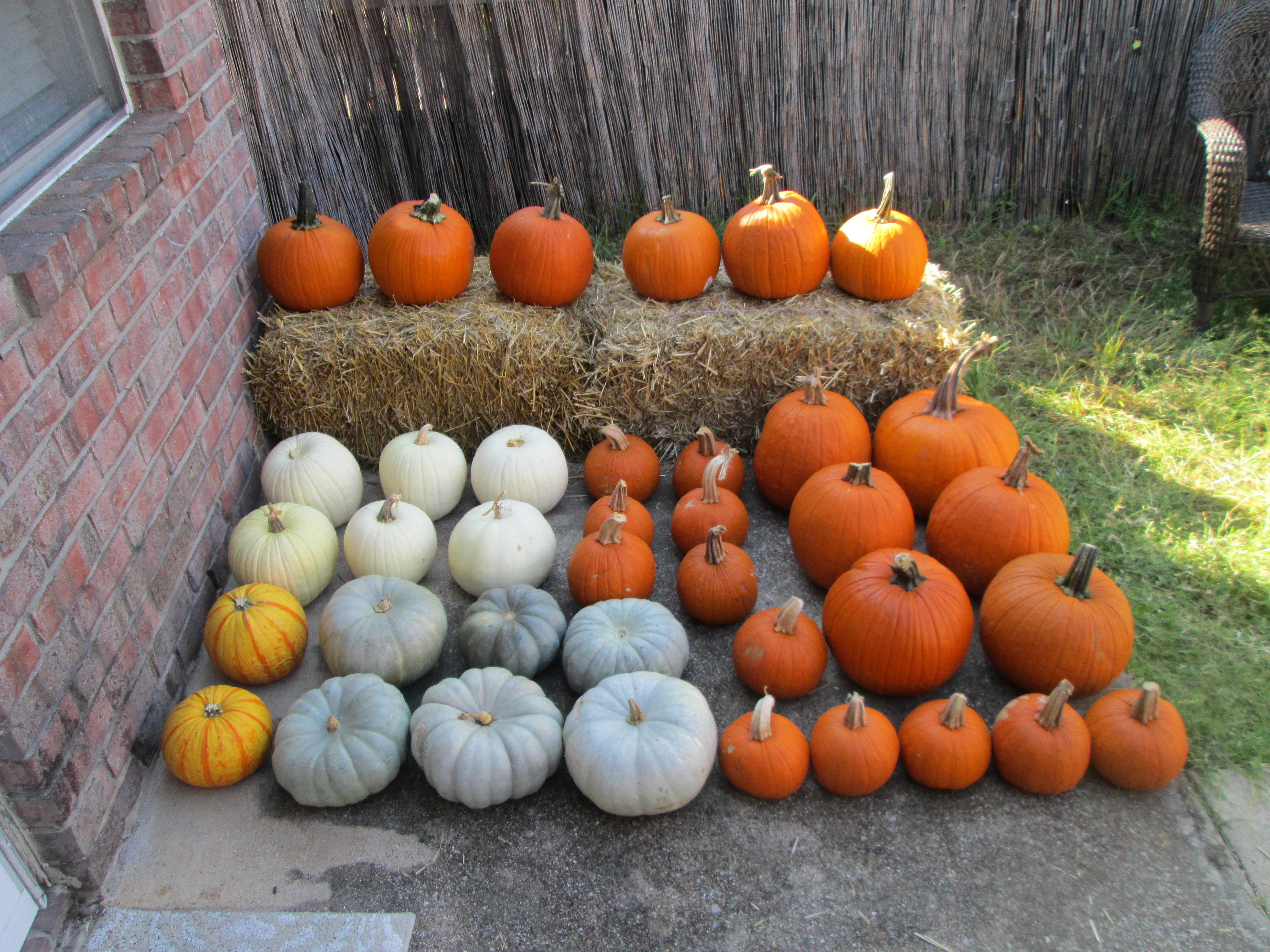Plan C Pumpkin Delivery and Porch Design