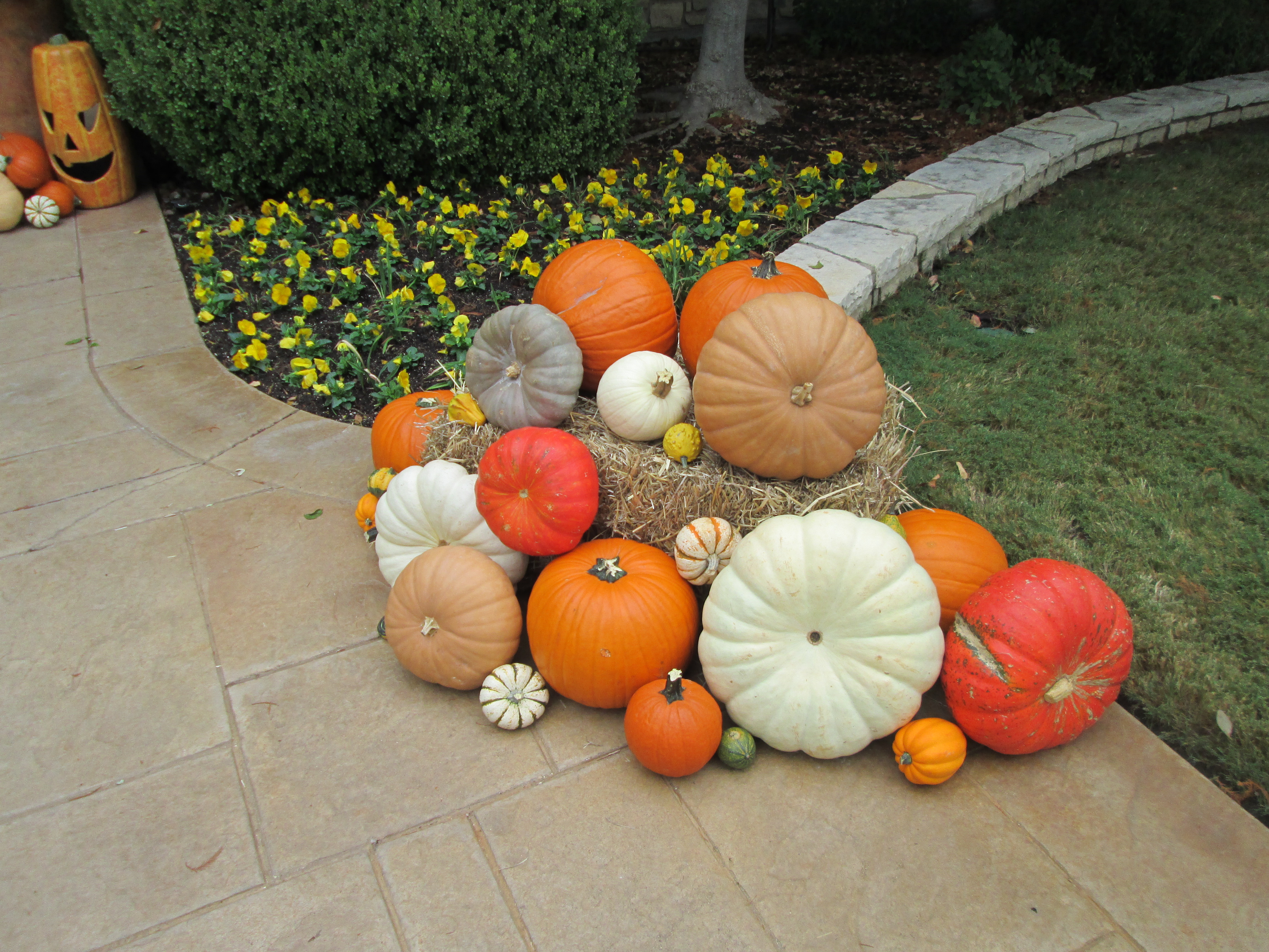 Plan B Pumpkin Delivery and Porch Design
