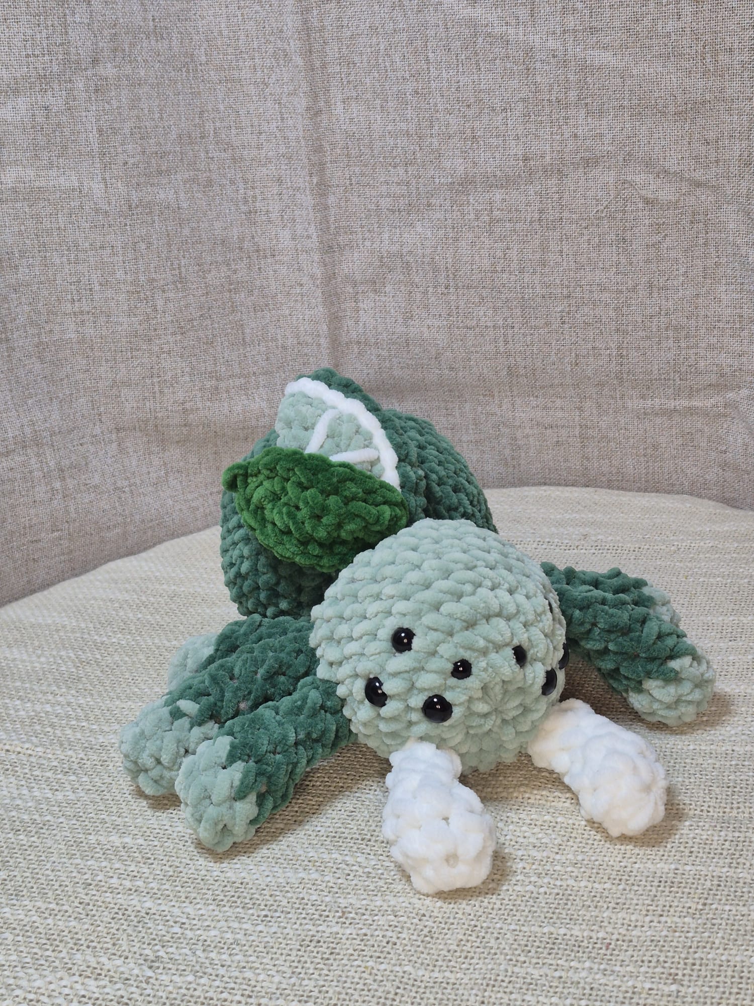 Mojito l'araignée citron vert