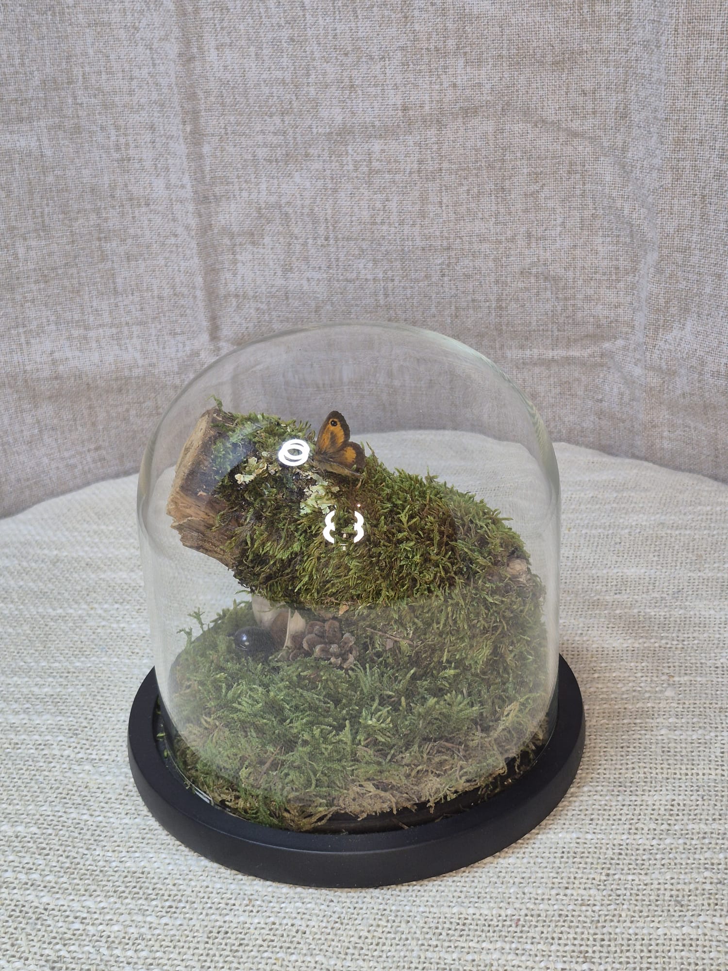 Les Gardiens de la clairière 