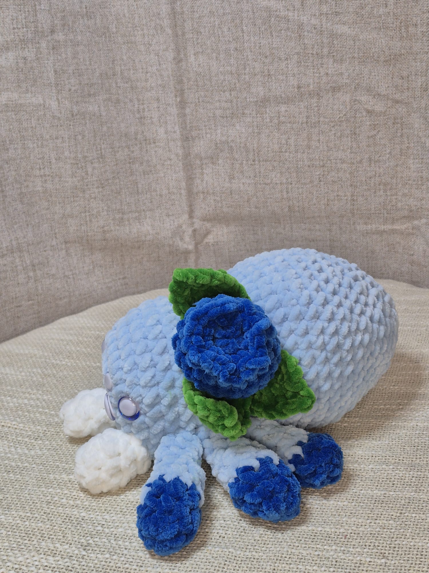 Blue l'araignée myrtille