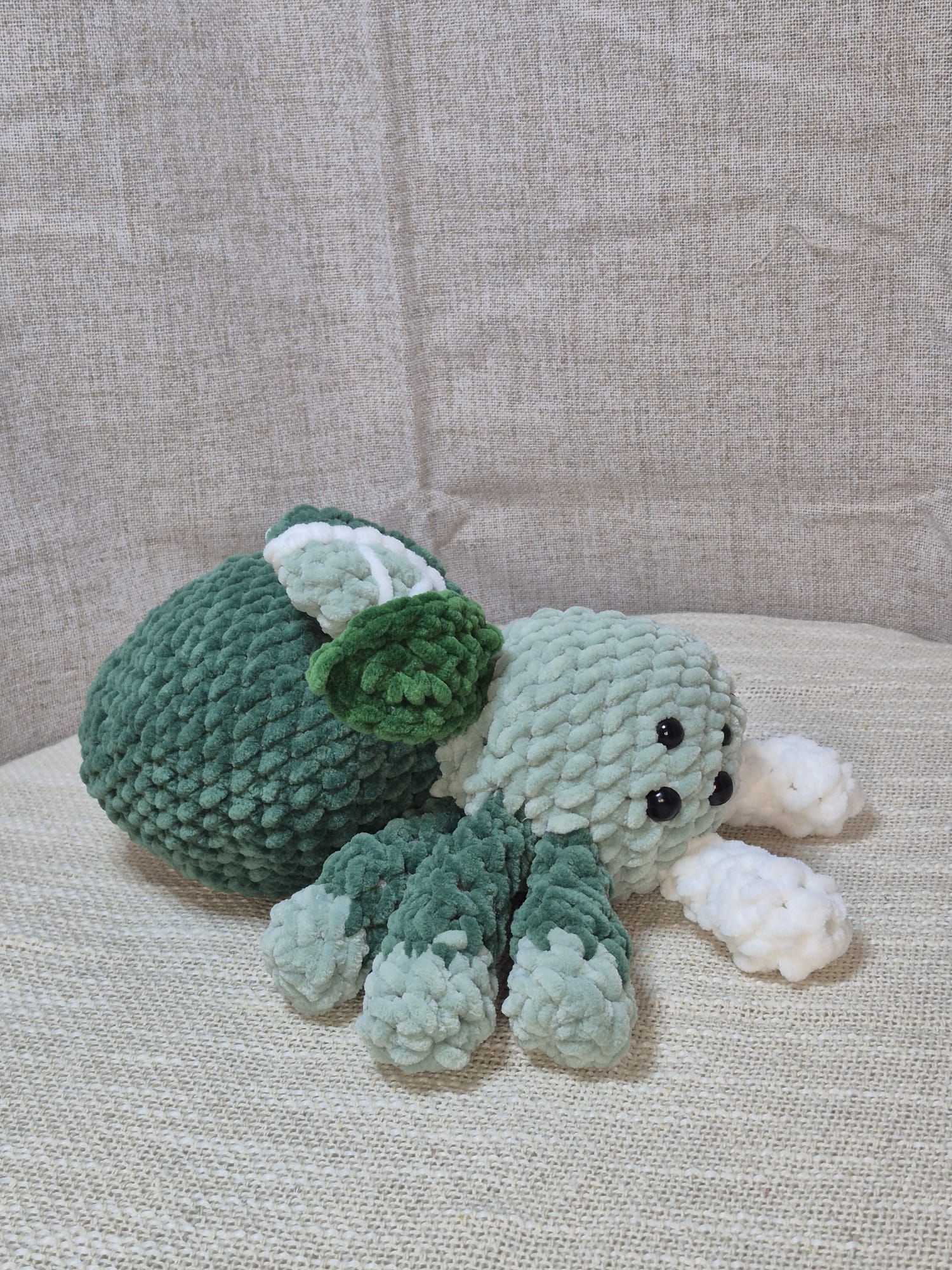 Mojito l'araignée citron vert