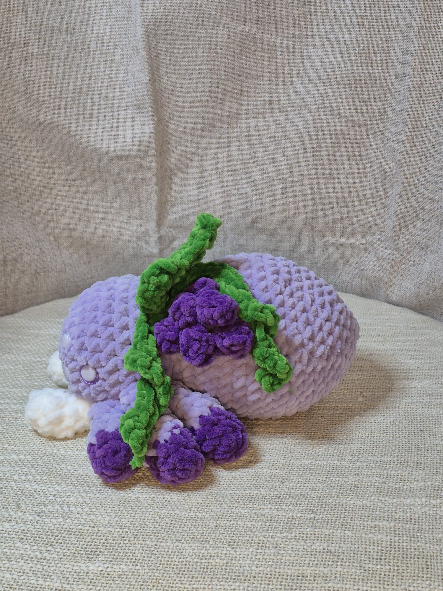 Vini l'araignée raisin 