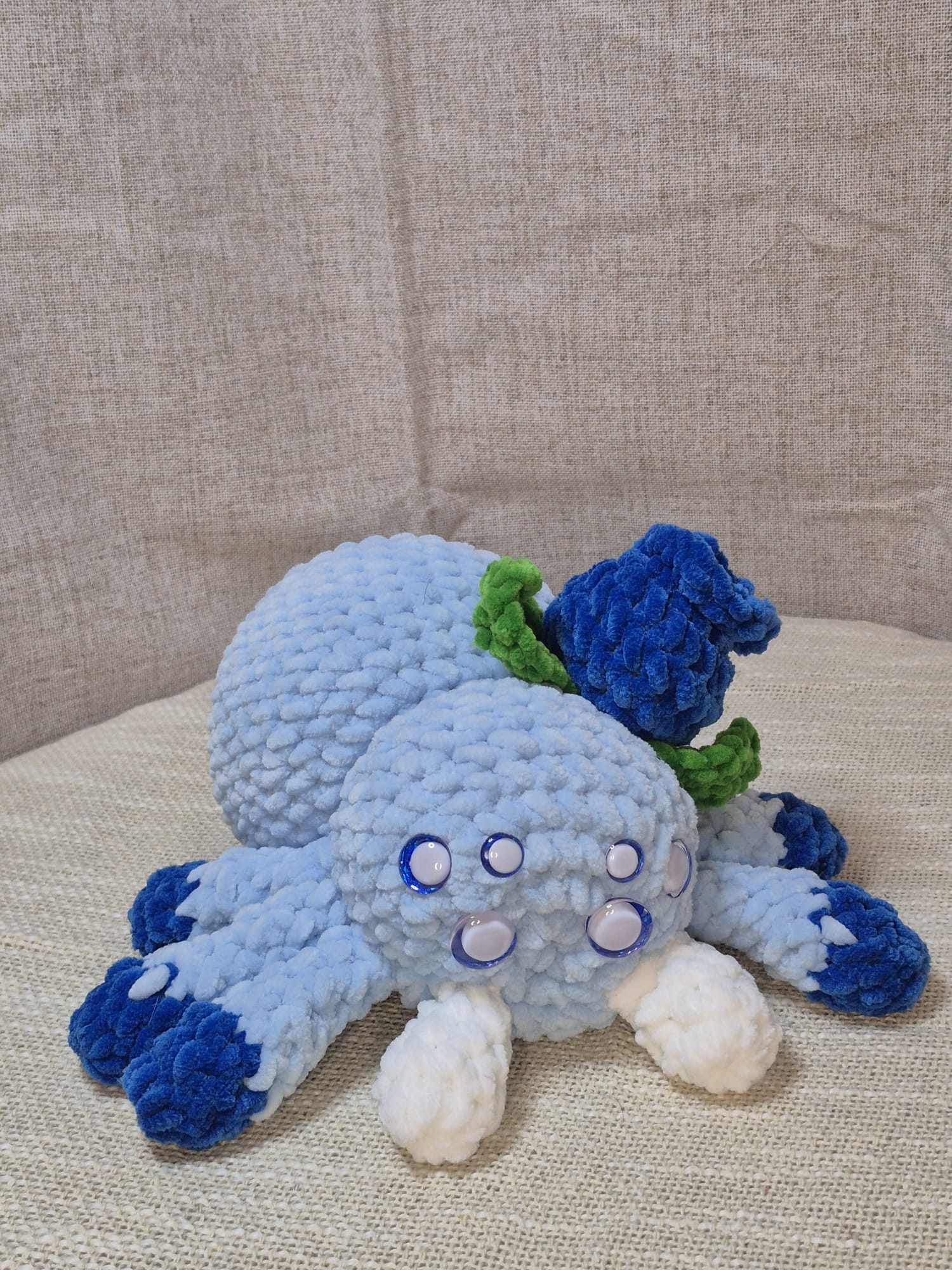 Blue l'araignée myrtille