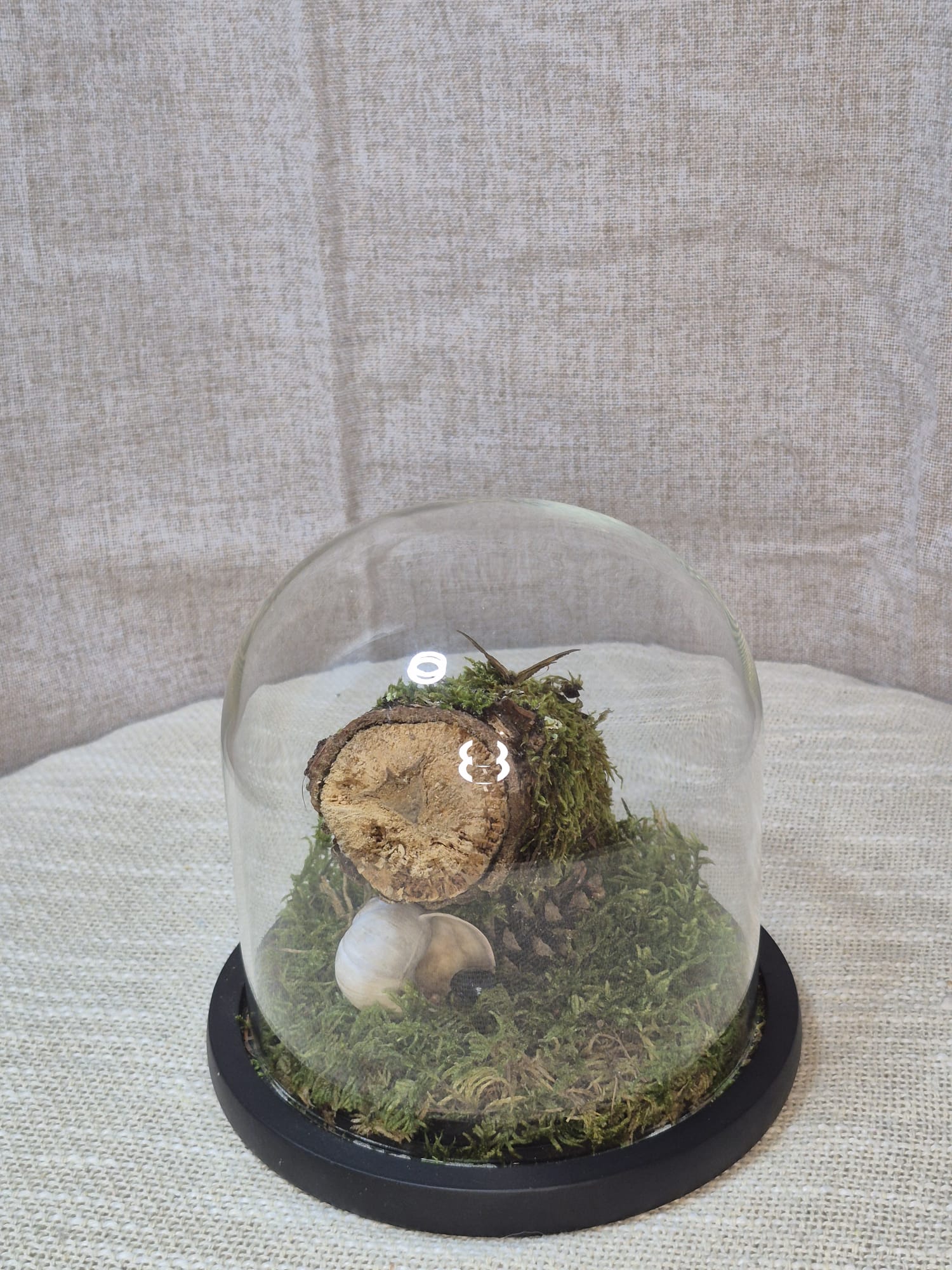 Les Gardiens de la clairière 