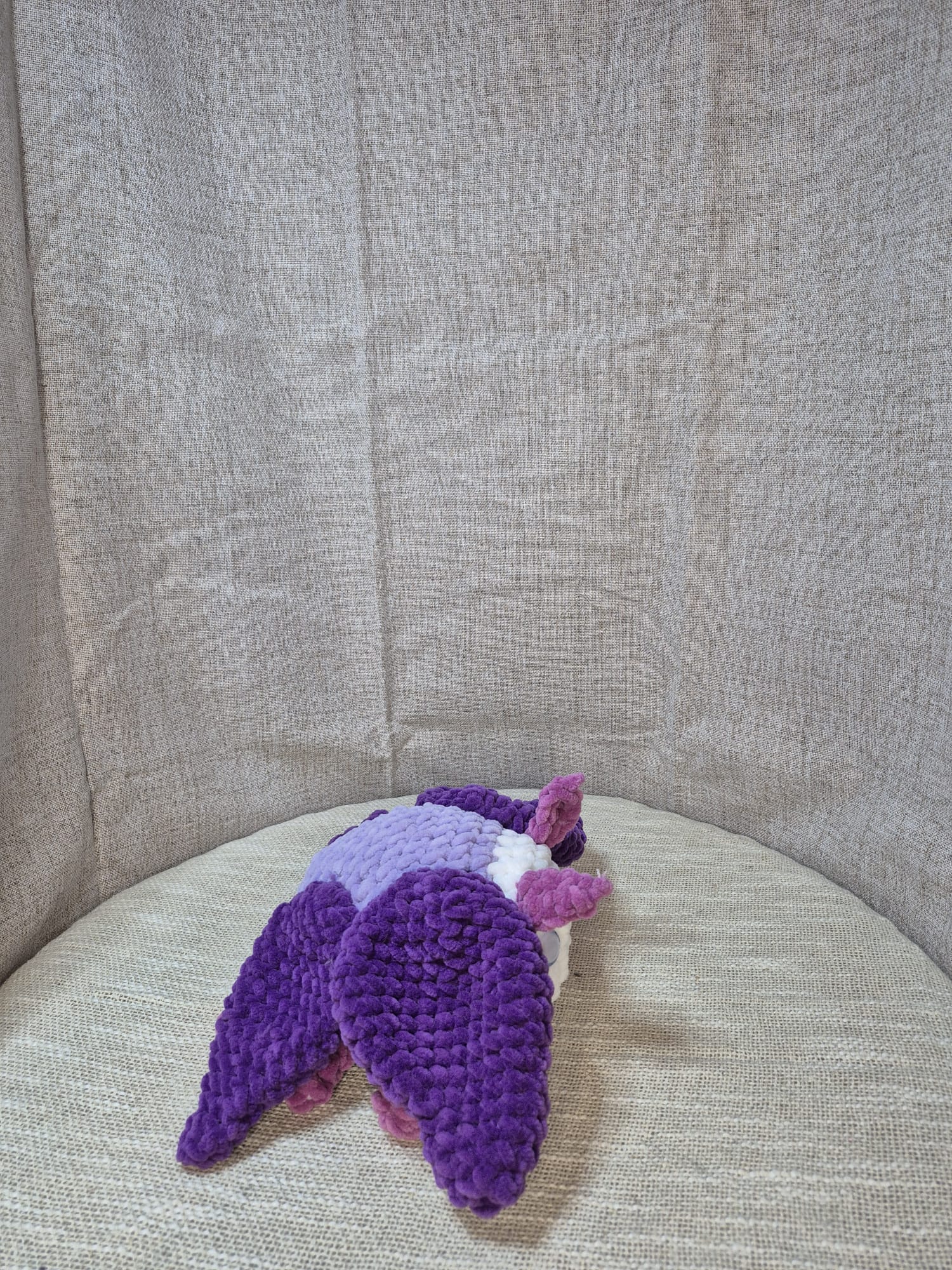 Eclipse le papillon lune