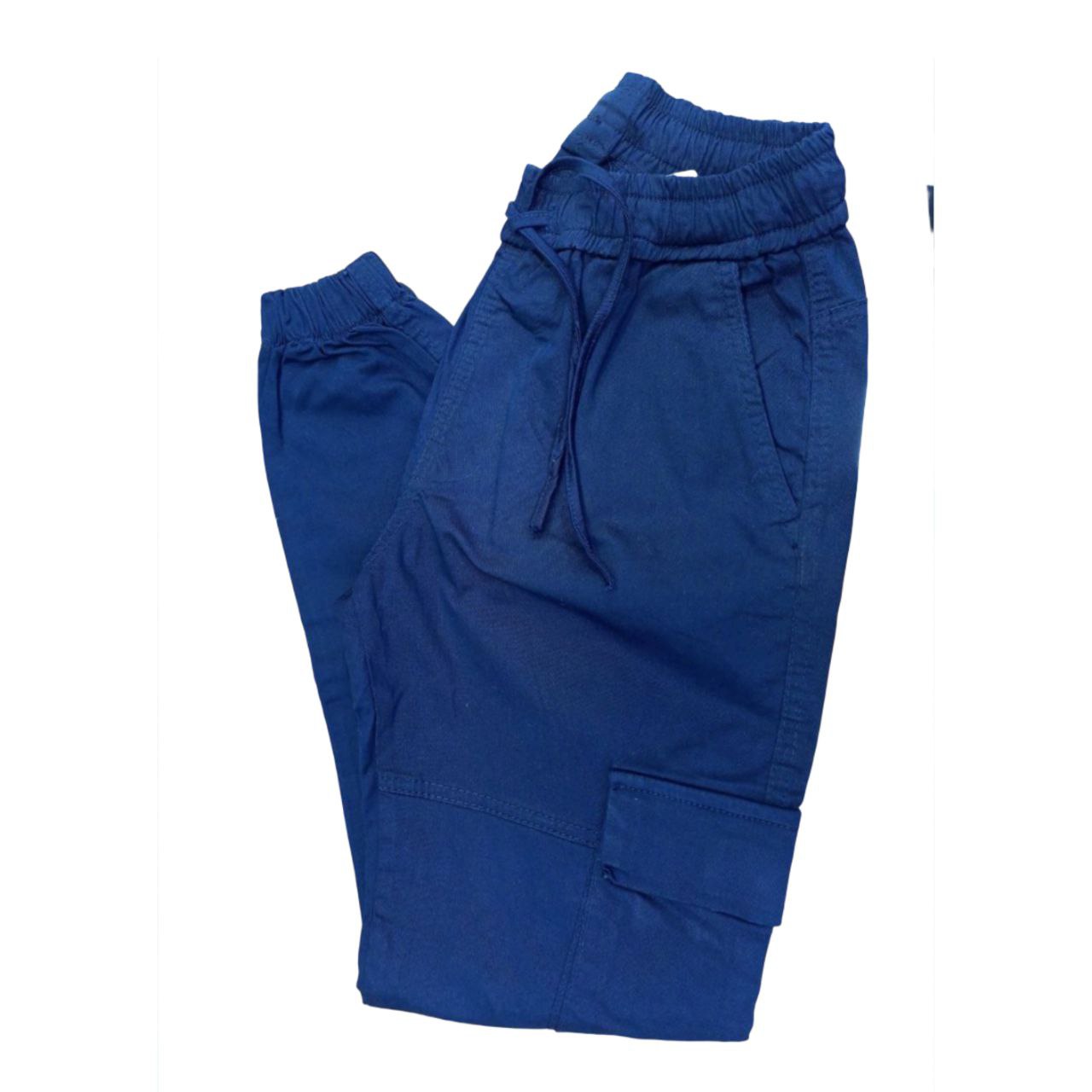 Blue Jogger Pants