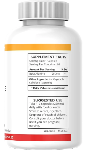 Beta-Alanine – Endurance & Performance Support