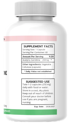 Acetyl-L-Carnitine (ALCAR) – Brain Energy & Cognitive Support