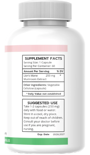 Lion’s Mane Mushroom – Cognitive Health & Nerve Support