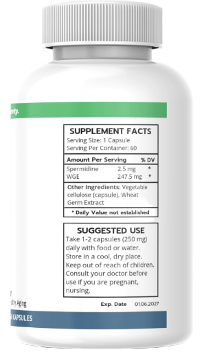 Spermidine – Cellular Renewal & Longevity Support