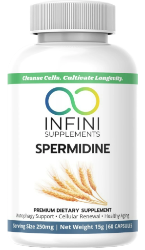 Spermidine – Cellular Renewal & Longevity Support