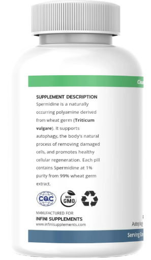 Spermidine – Cellular Renewal & Longevity Support