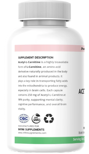 Acetyl-L-Carnitine (ALCAR) – Brain Energy & Cognitive Support