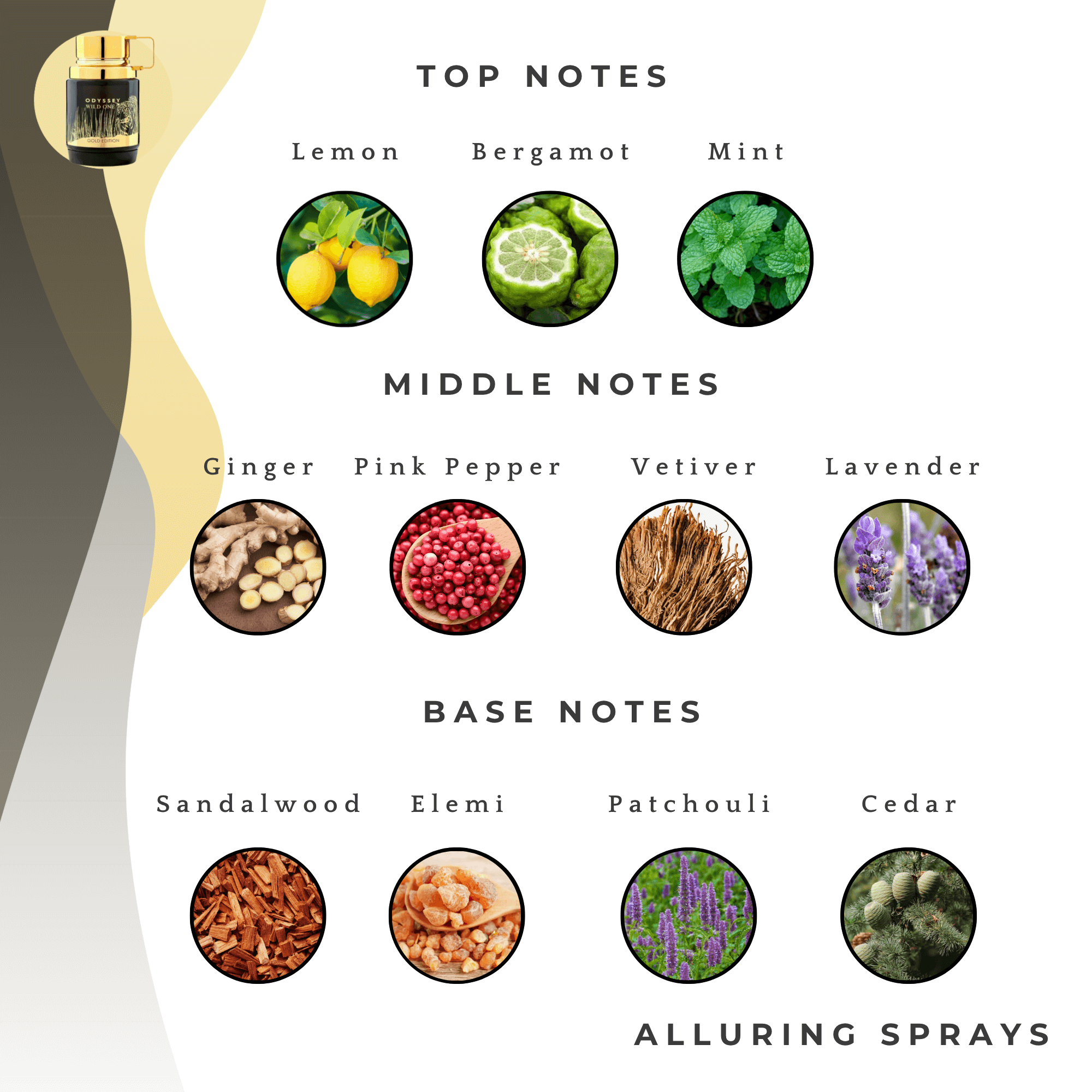 Odyssey Wild One - Armaf 