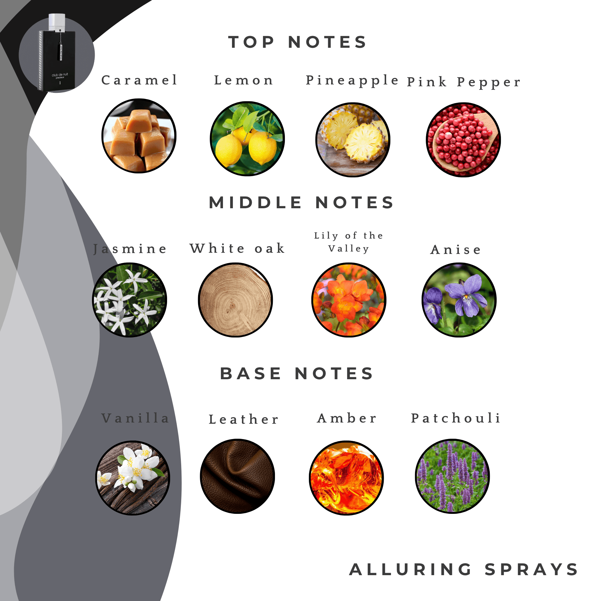 Club de Nuit Precieux – Afnan