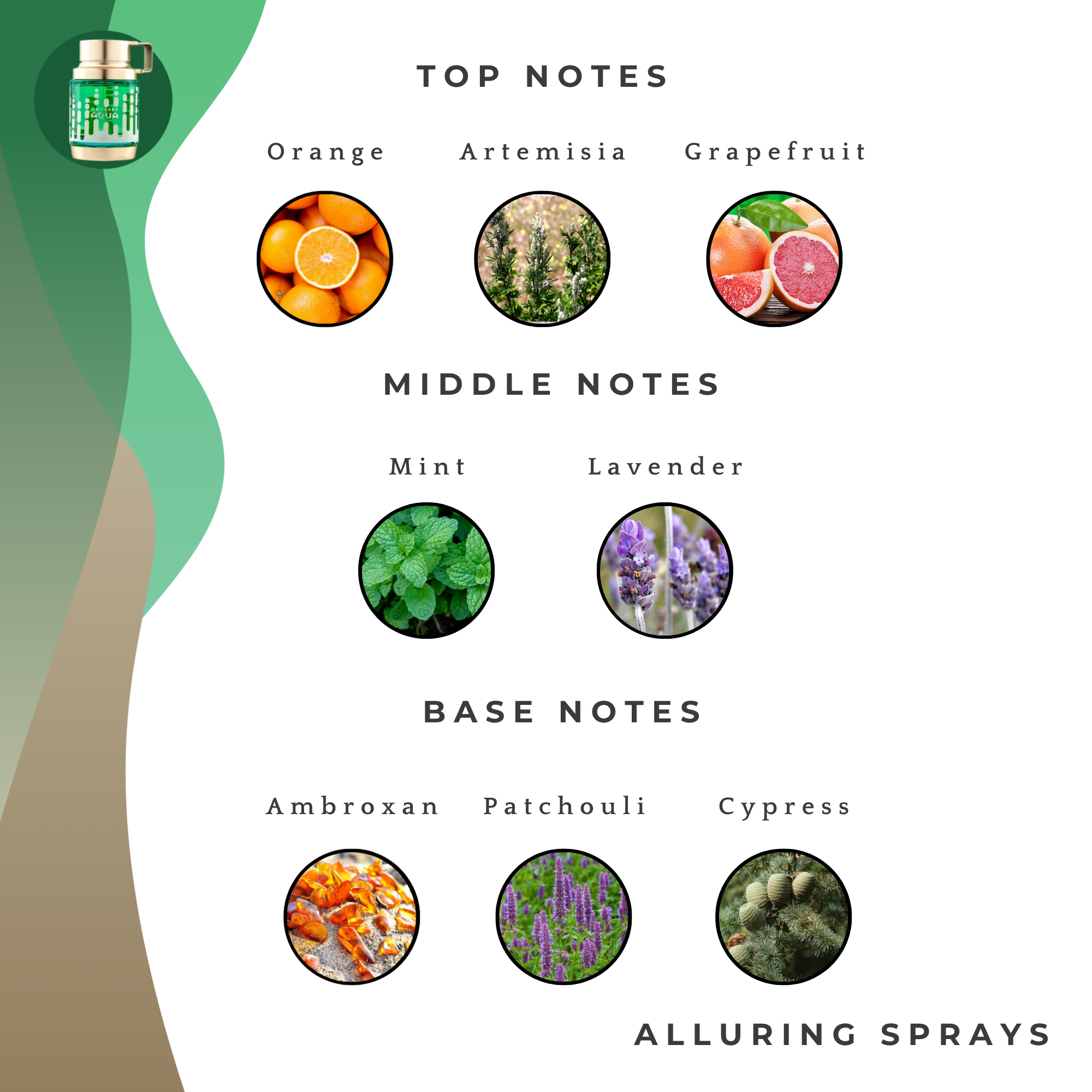 Odyssey Aqua – Armaf