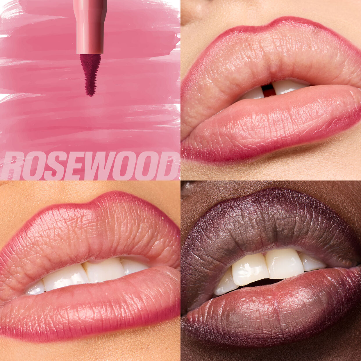 Lip Stain & Oil Kit