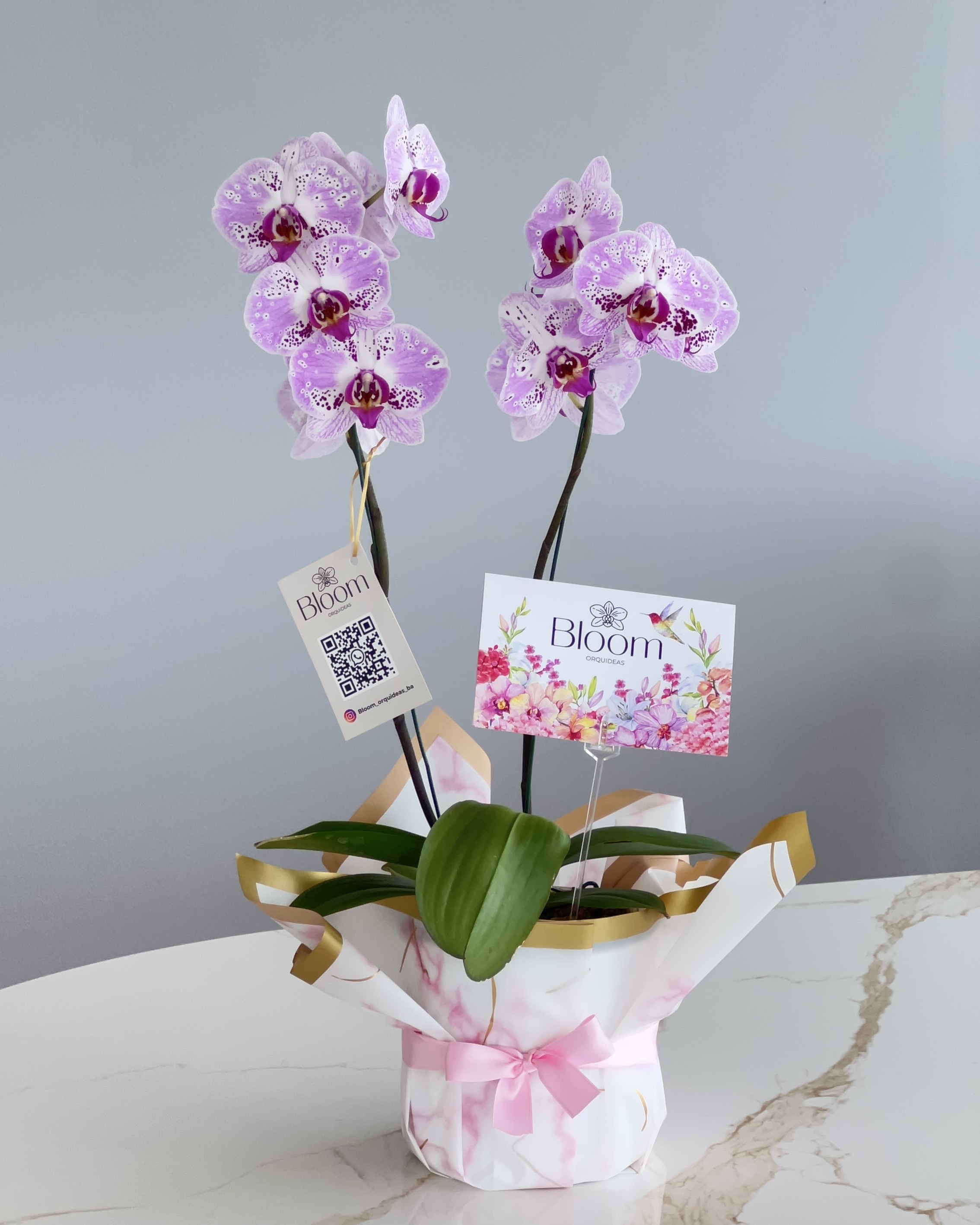 Orquídea rosa y lunares violeta