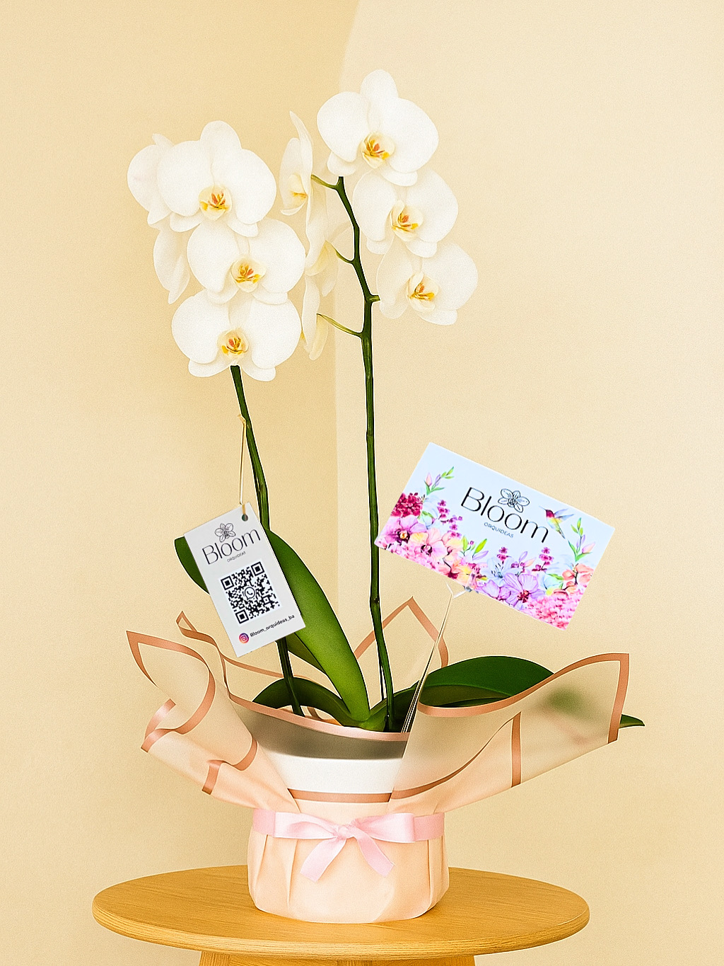 Orquidea Phalenopsis Blanca Premium