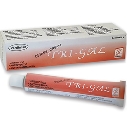 TRI-GAL crema X tubo 20 g Miconazol 100 mg, triamcinolona 10 mg, neomicina 30.000