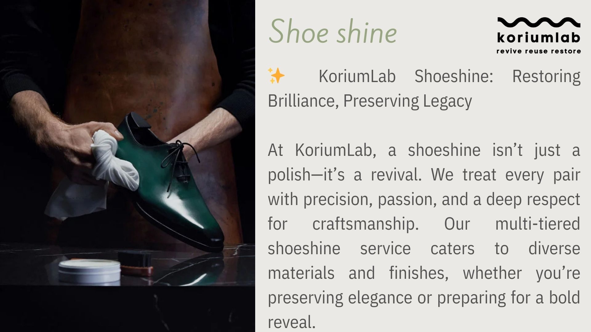 Professional Shoe Shine Service