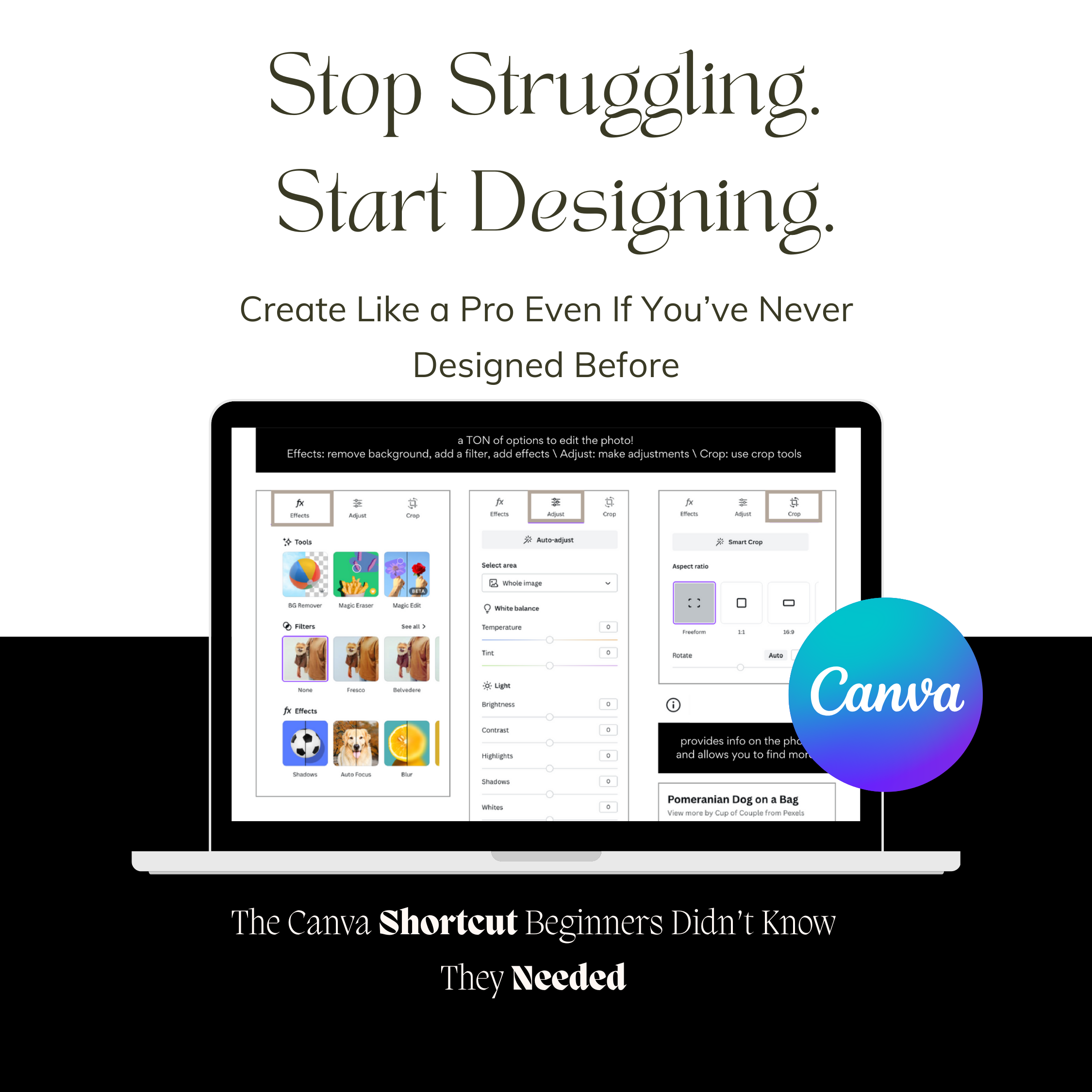 Don’t waste another day stuck on the Canva dashboard. This guide fixes everything