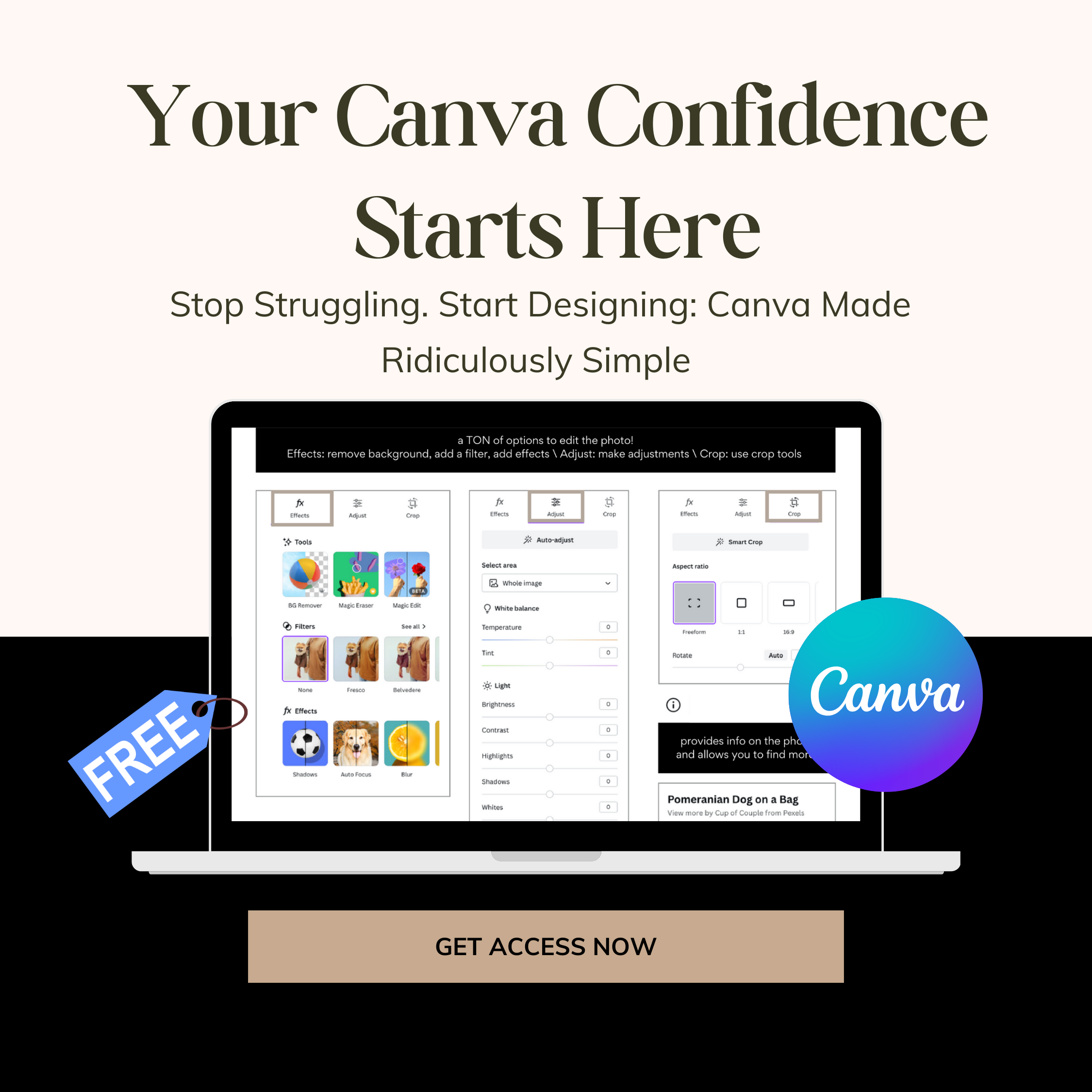 You’ll design better in the next 24 hours ; IF you grab this free Canva Essentials guide now.