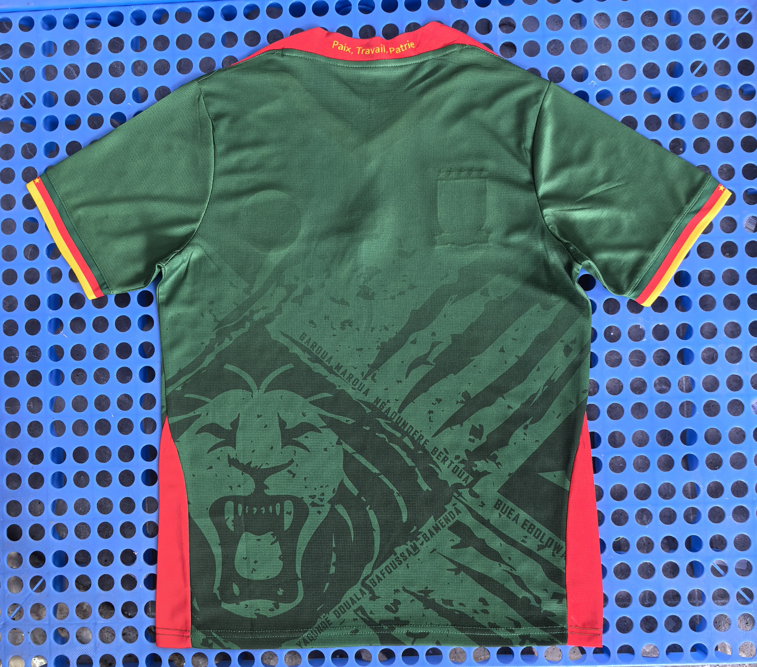 2025-26 Cameroon Home Jersey Shirt
