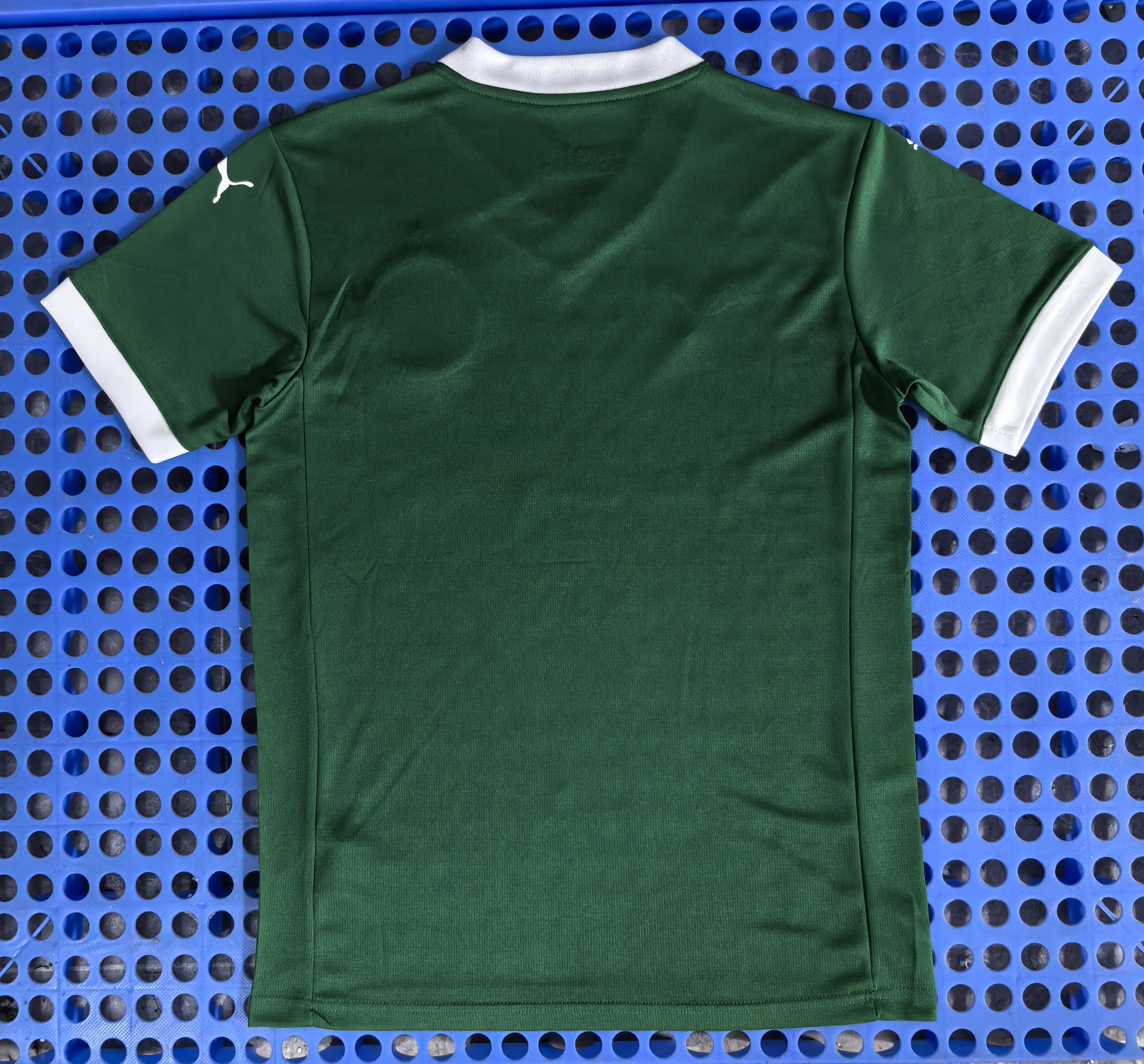 2025-26 SE Palmeiras Home Jersey Shirt