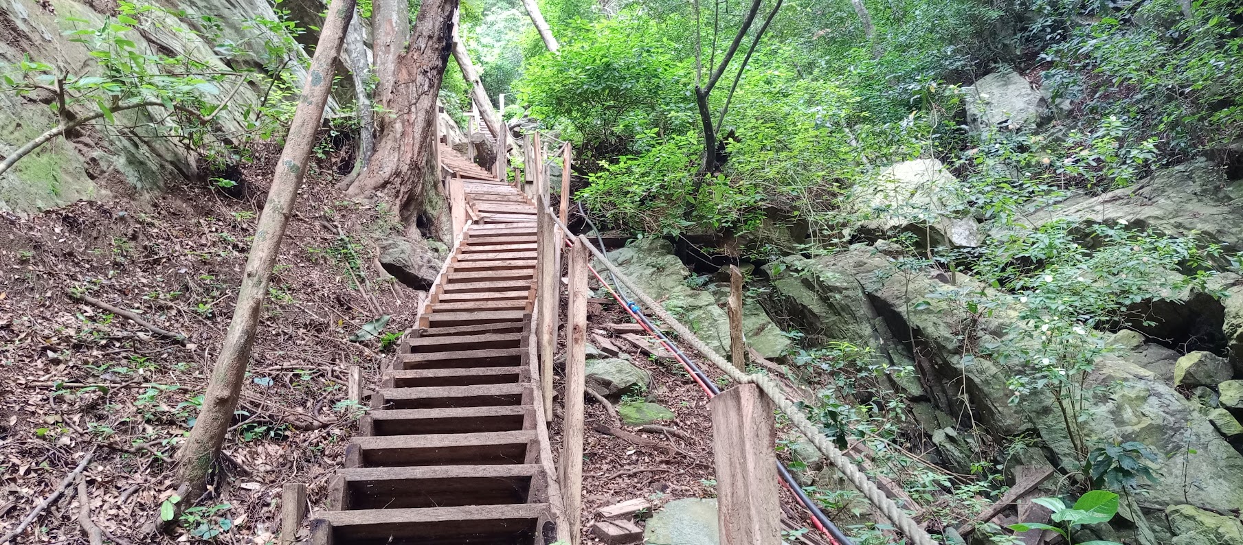 Wooden Outdoor Staircase