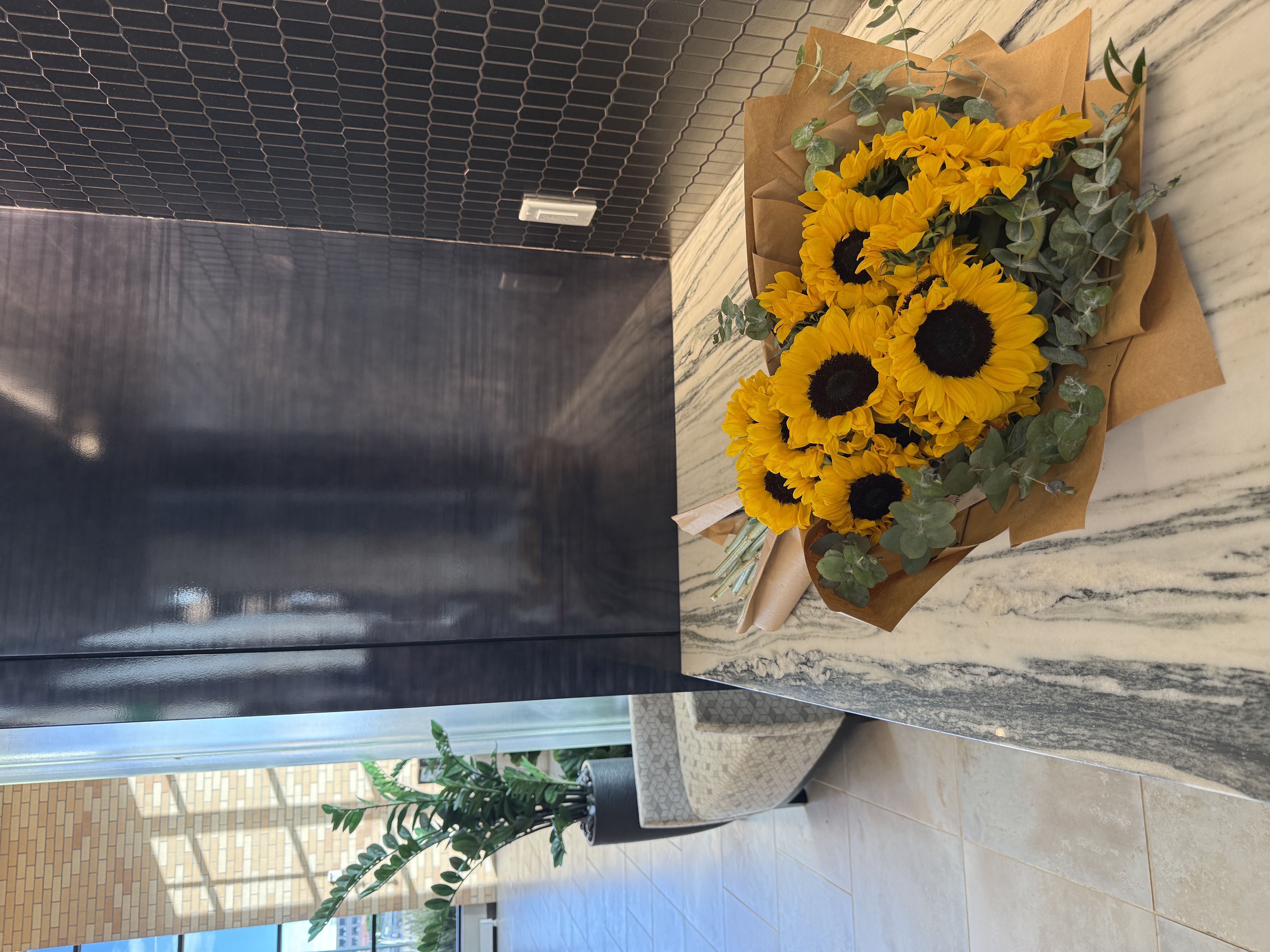 Girasoles - Sunflowers  