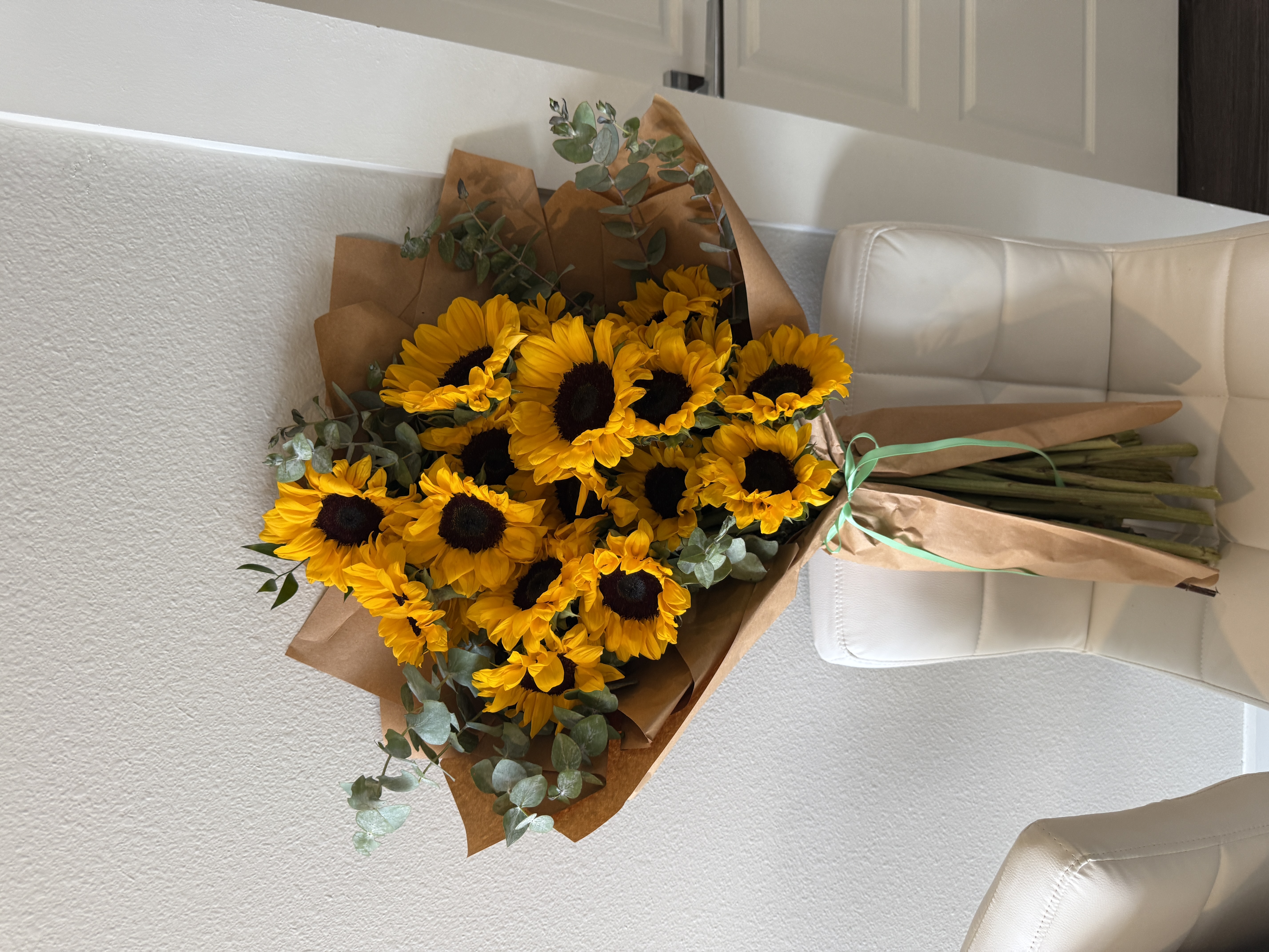 Girasoles - Sunflowers  