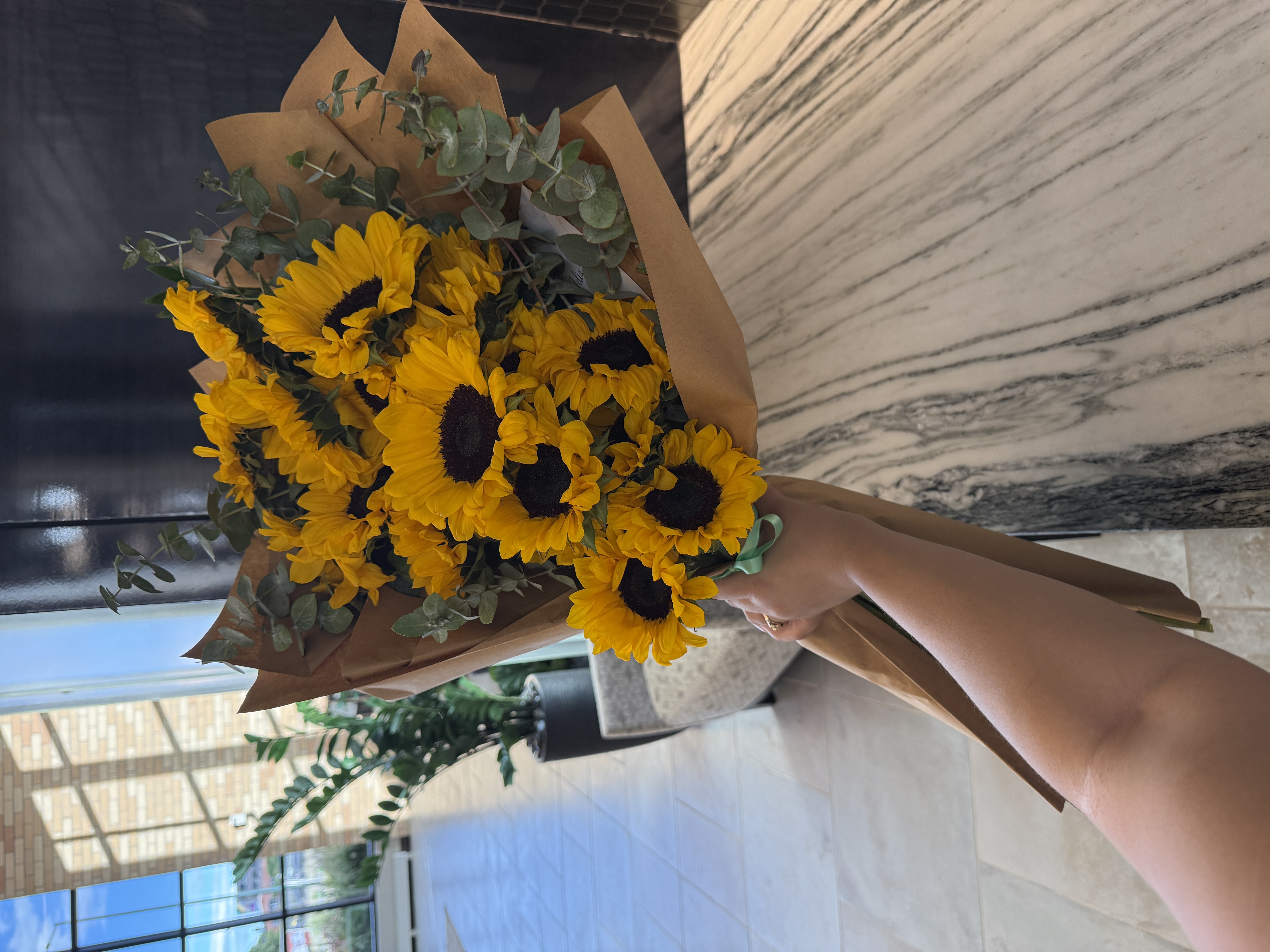 Girasoles - Sunflowers  