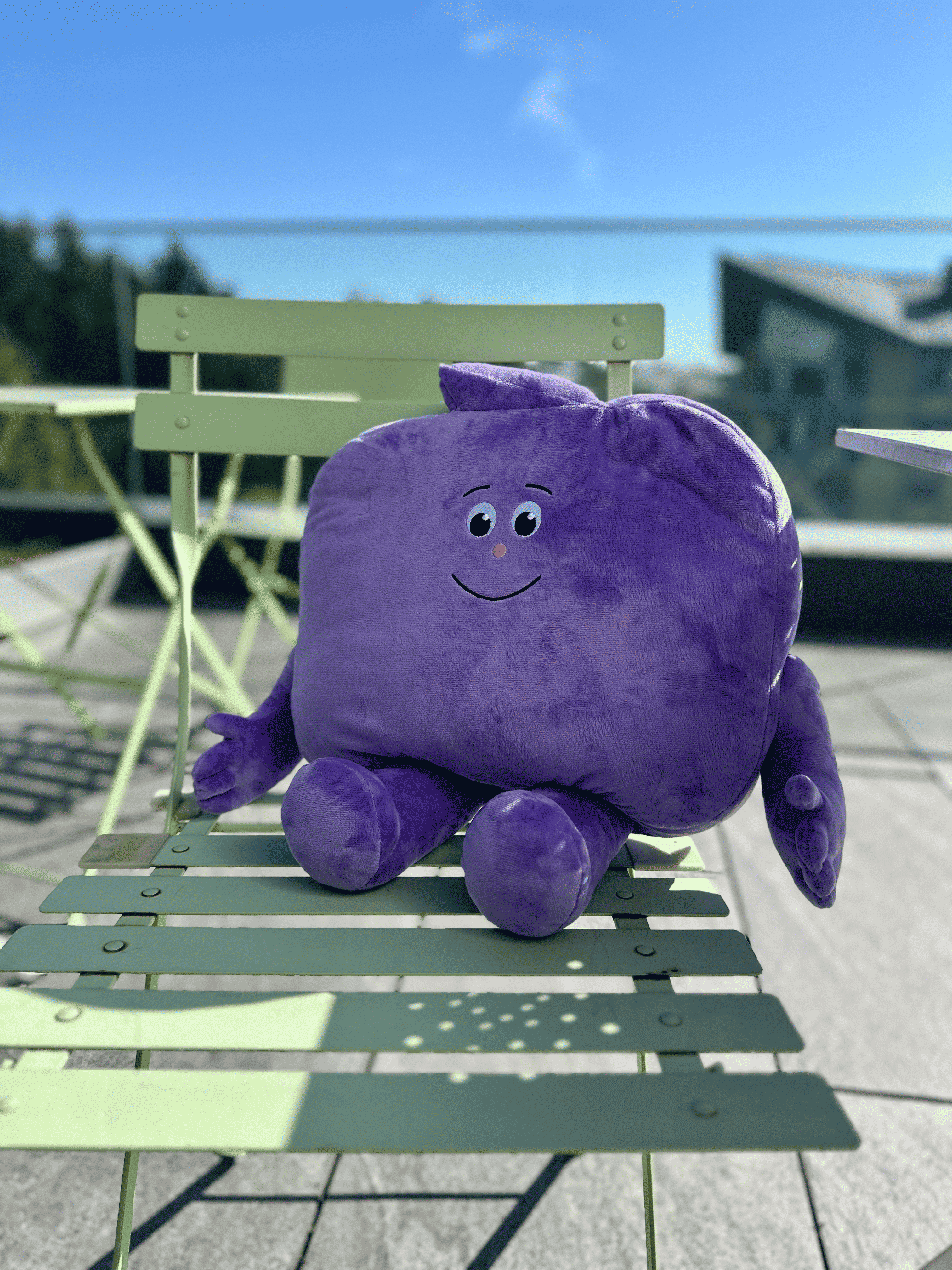 ЧУБЧИК меньший