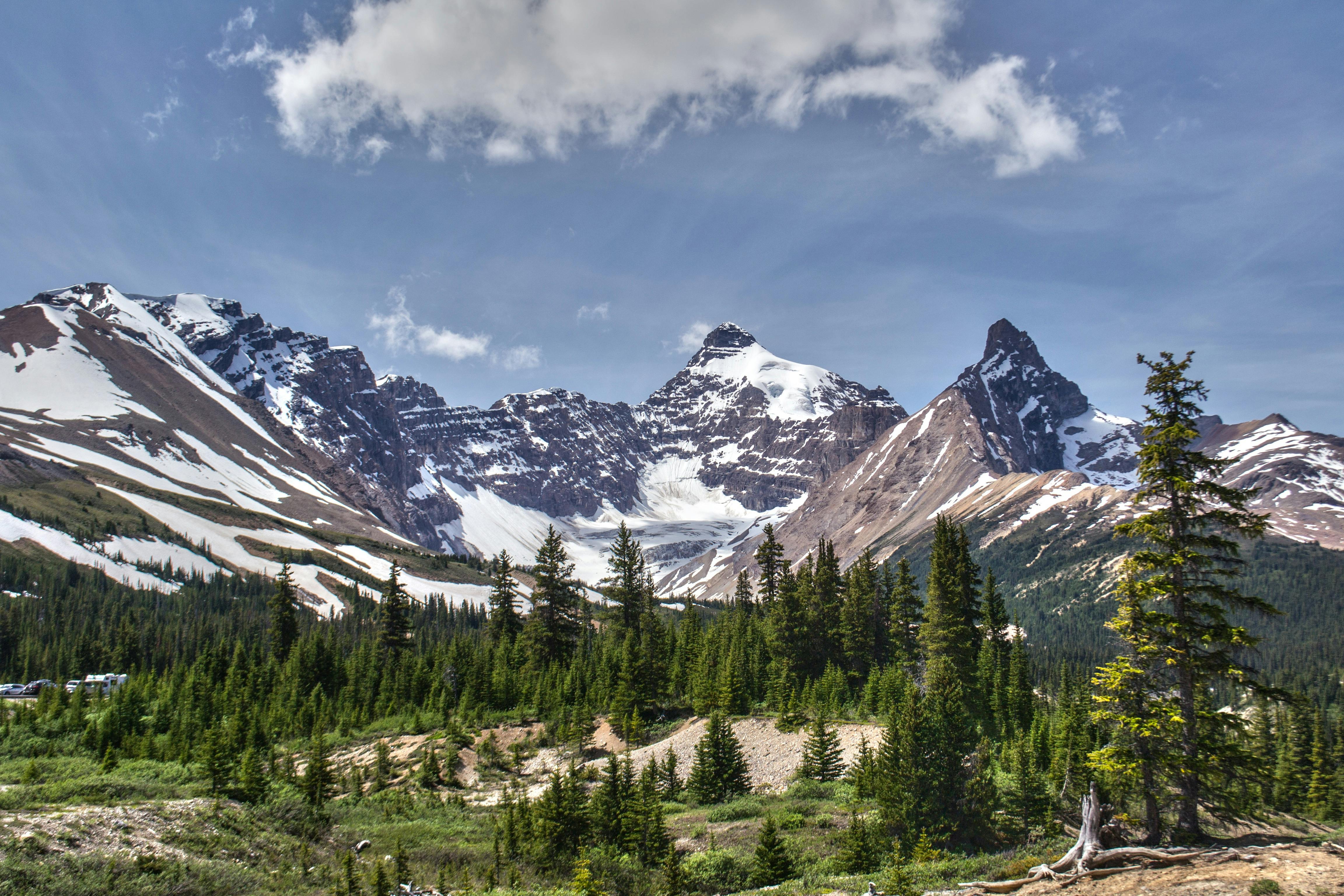Nature related 30 image folder