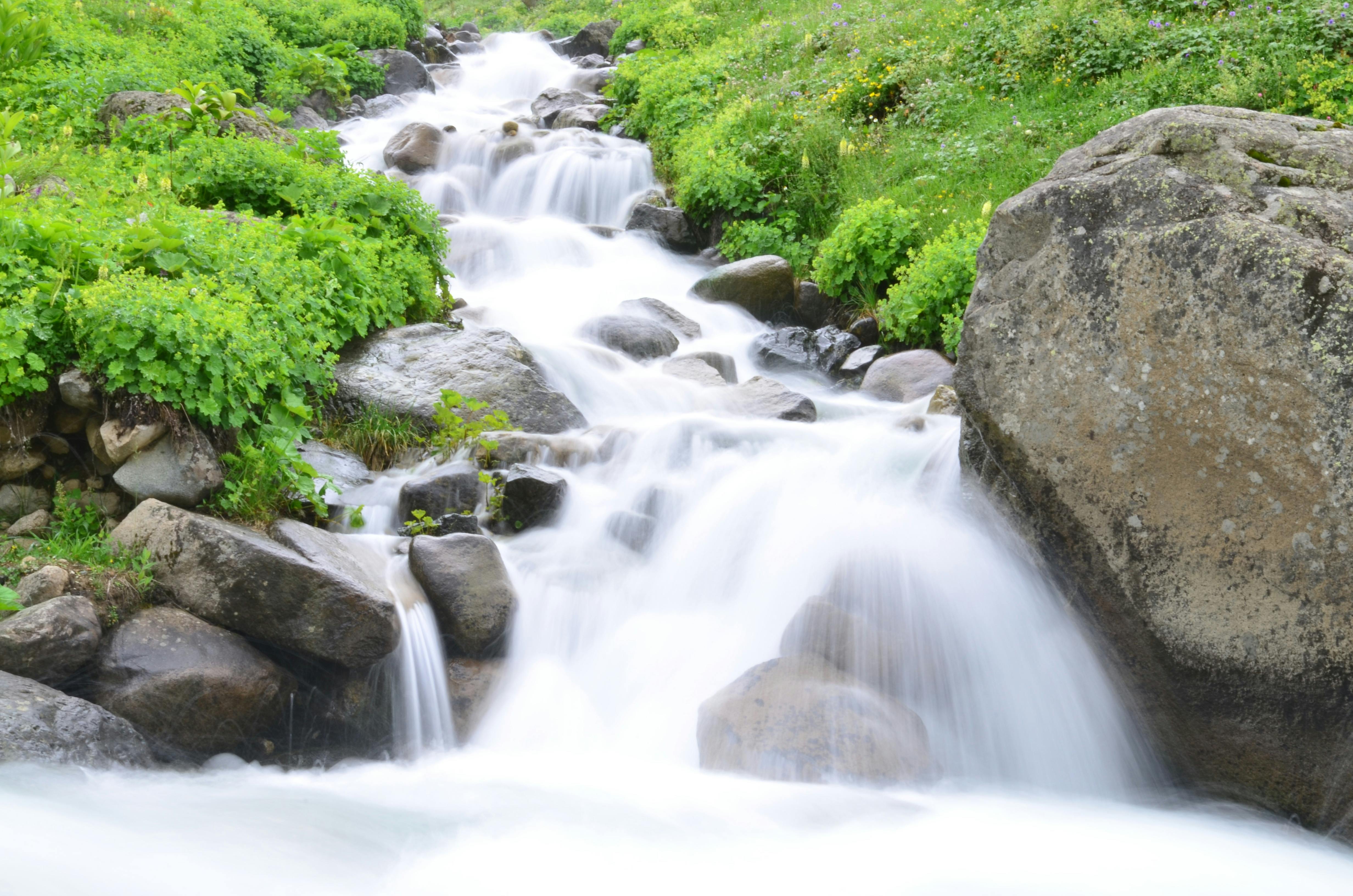 Nature 50 Images Folder