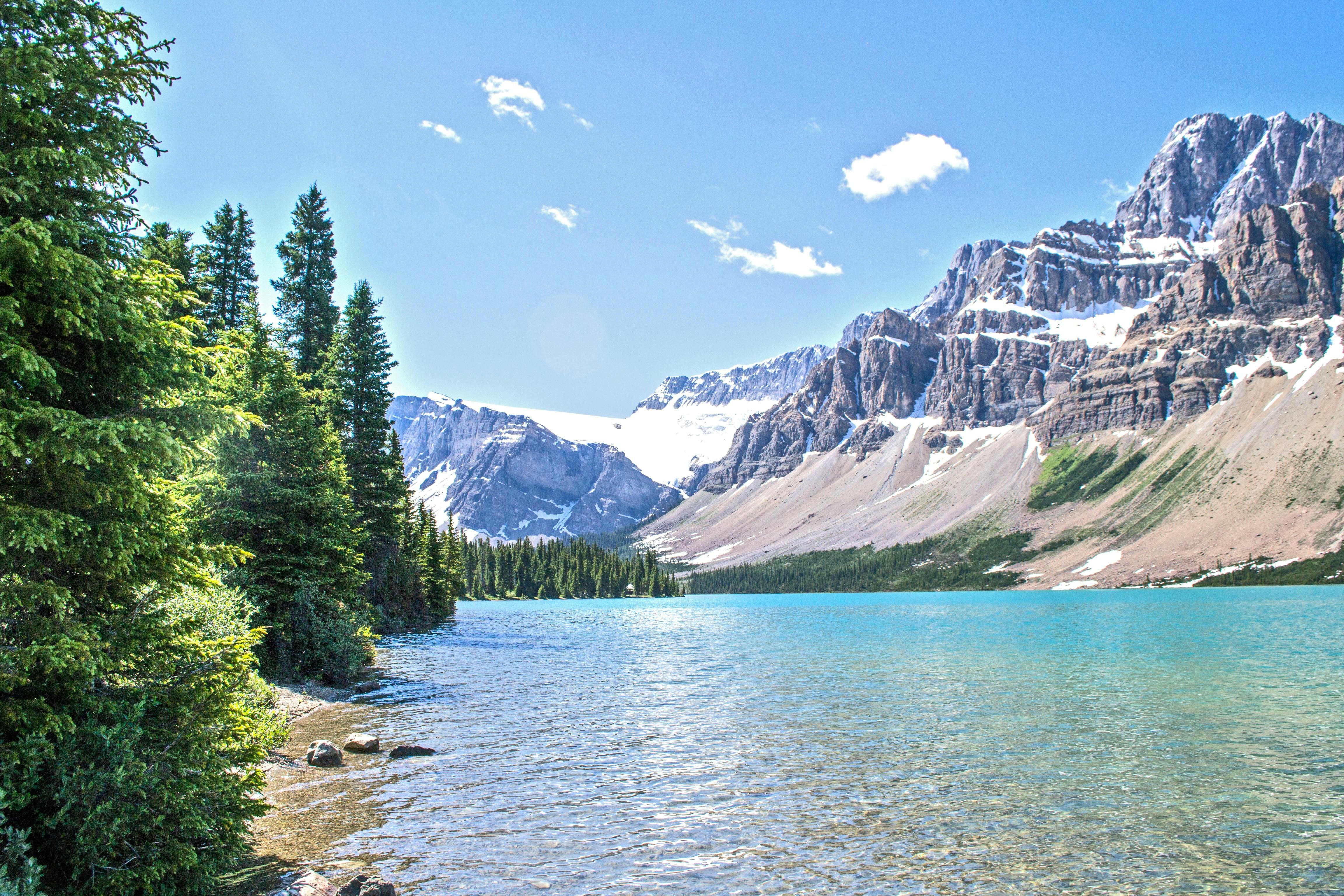Nature related 30 image folder
