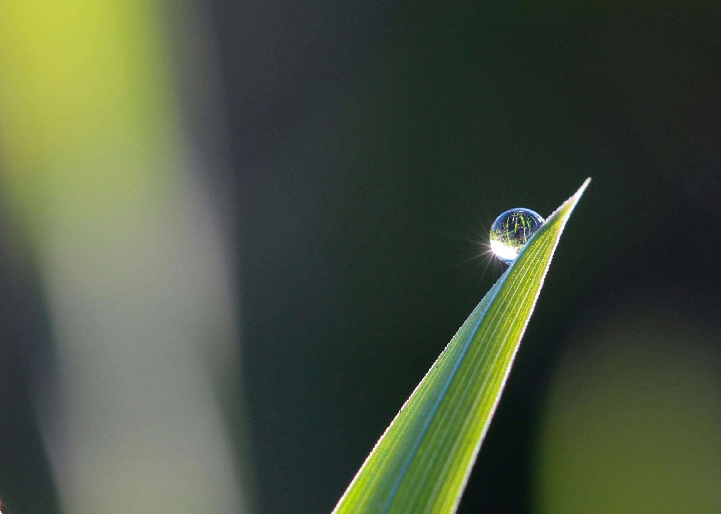 Nature 50 Images Folder