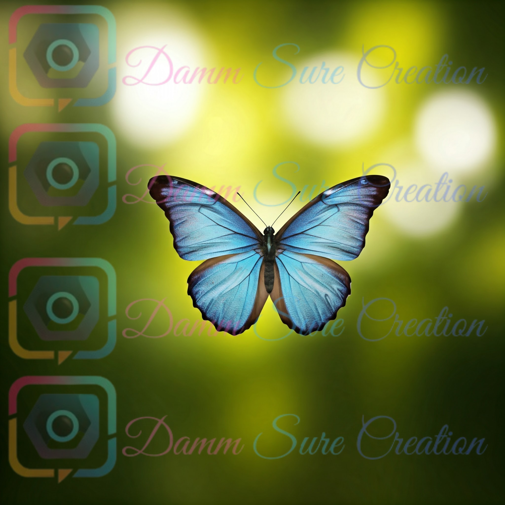 Blue Morph Butterfly Wall Art