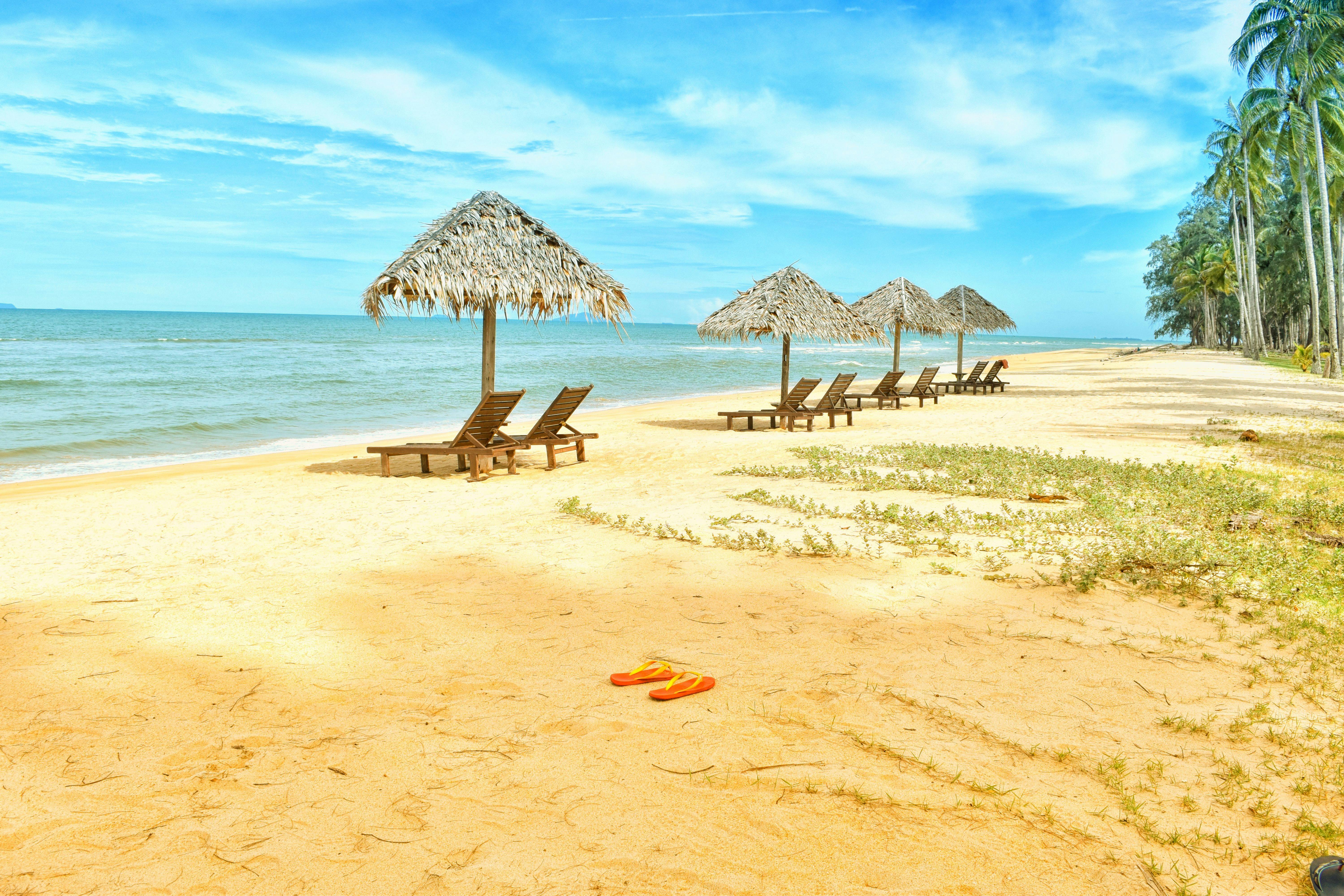 Beach Sun Lounger Image