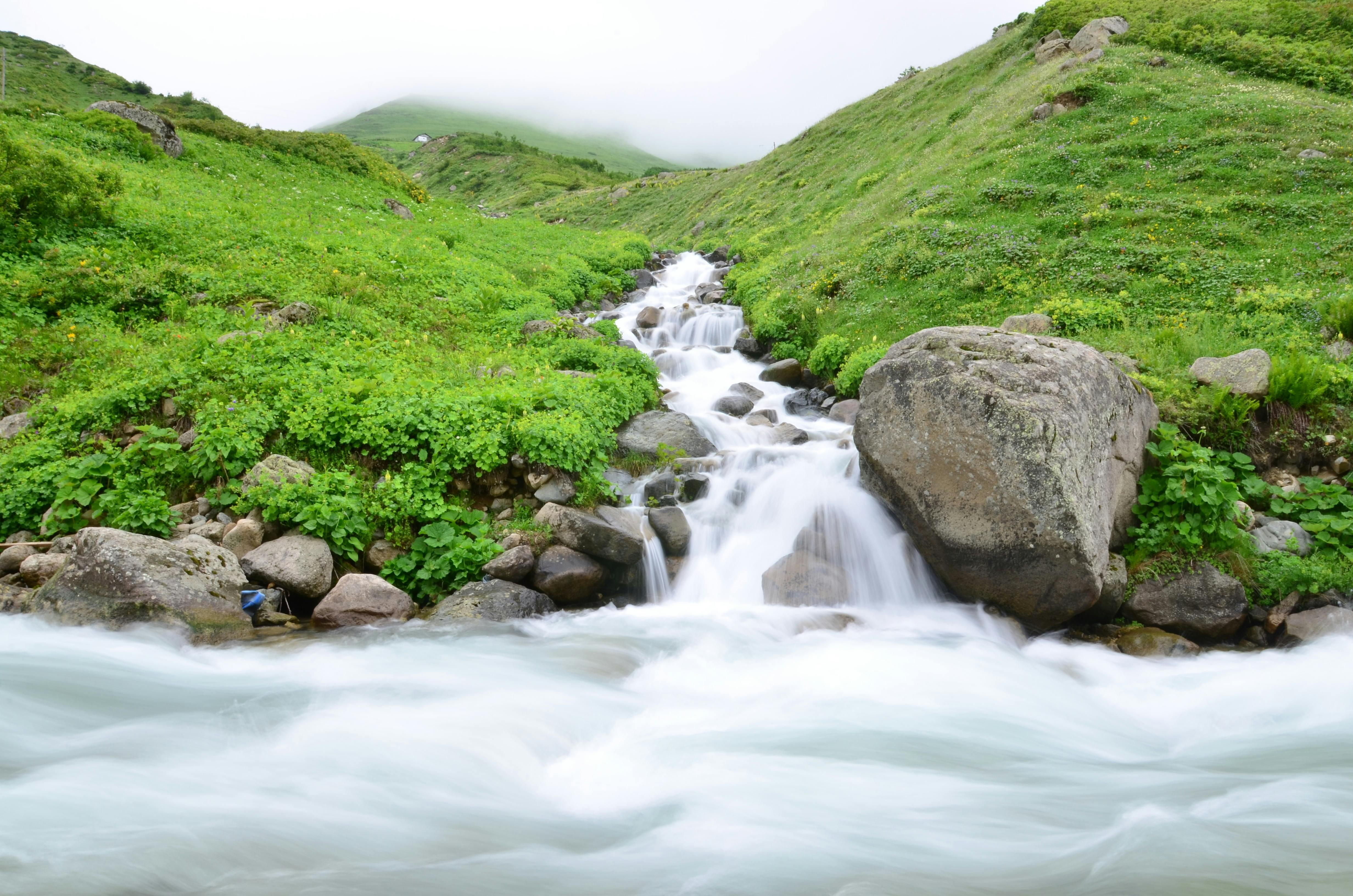 Nature 10 Images Folder