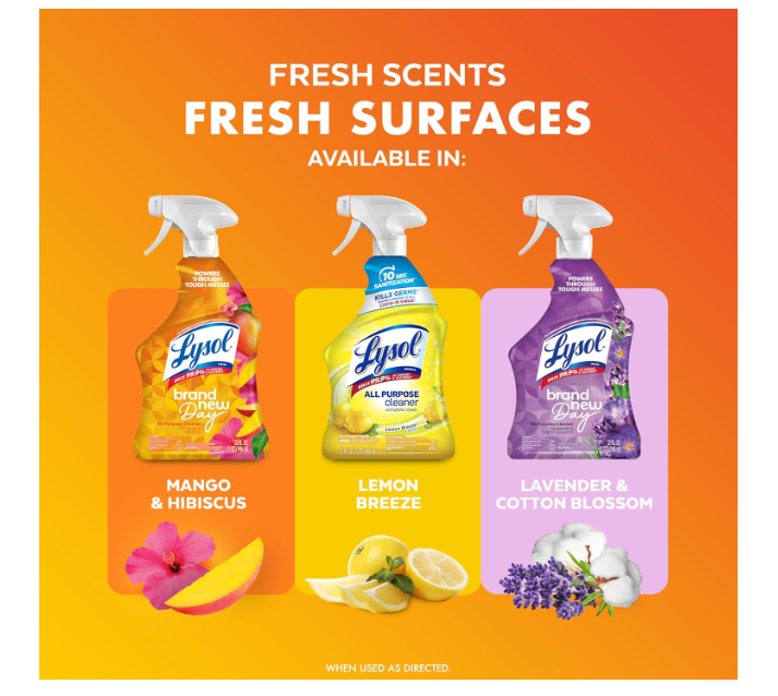 Lysol Brand New Day All Purpose Cleaner