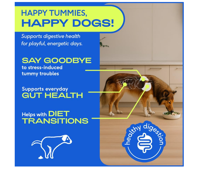 Native Pet Probiotic for Dogs