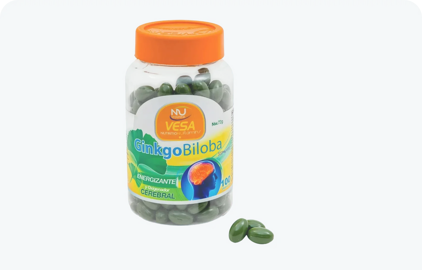 Ginkgo Biloba